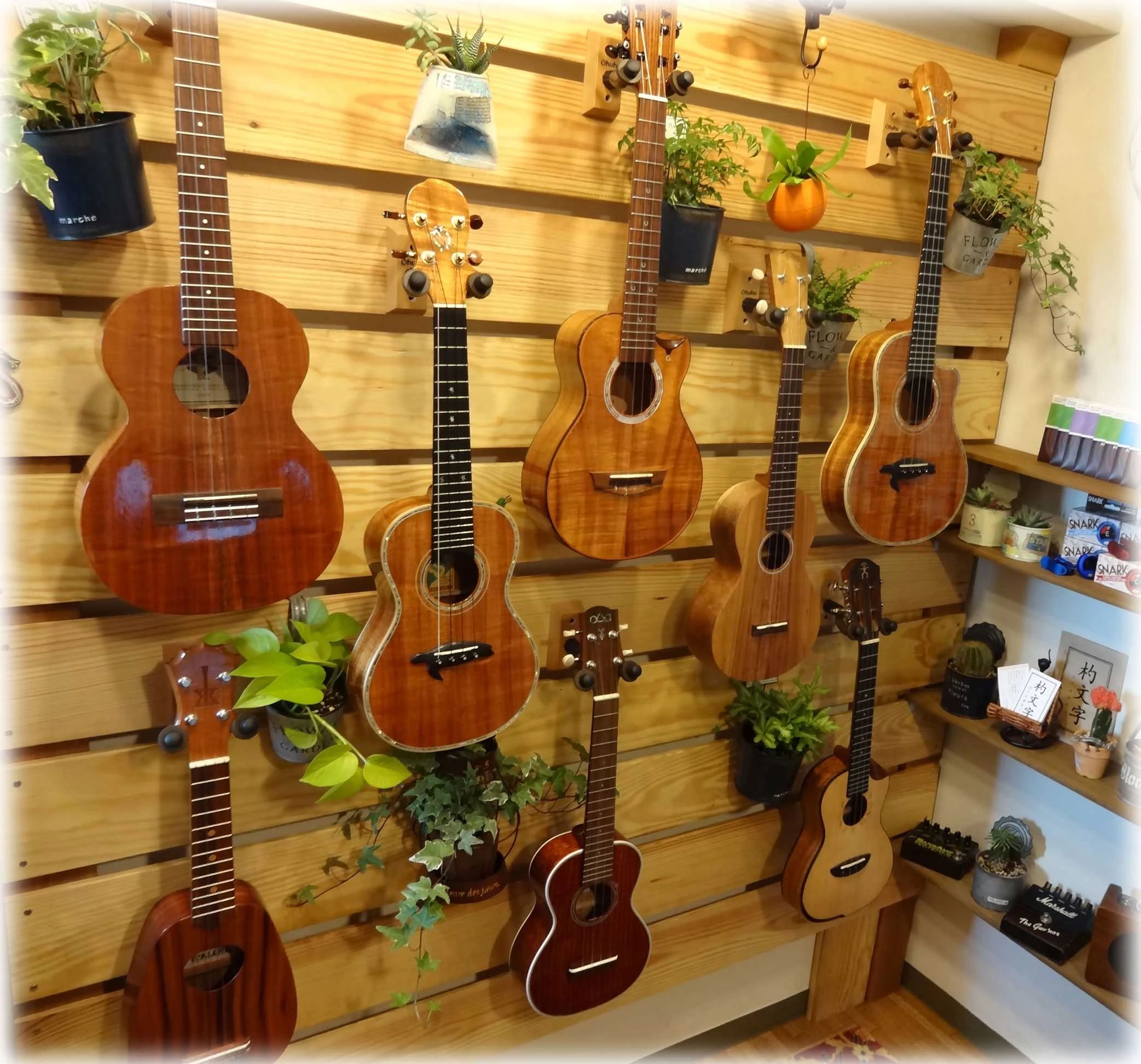 そどみら ウクレレ 豊玉北教室のサムネイル画像 4