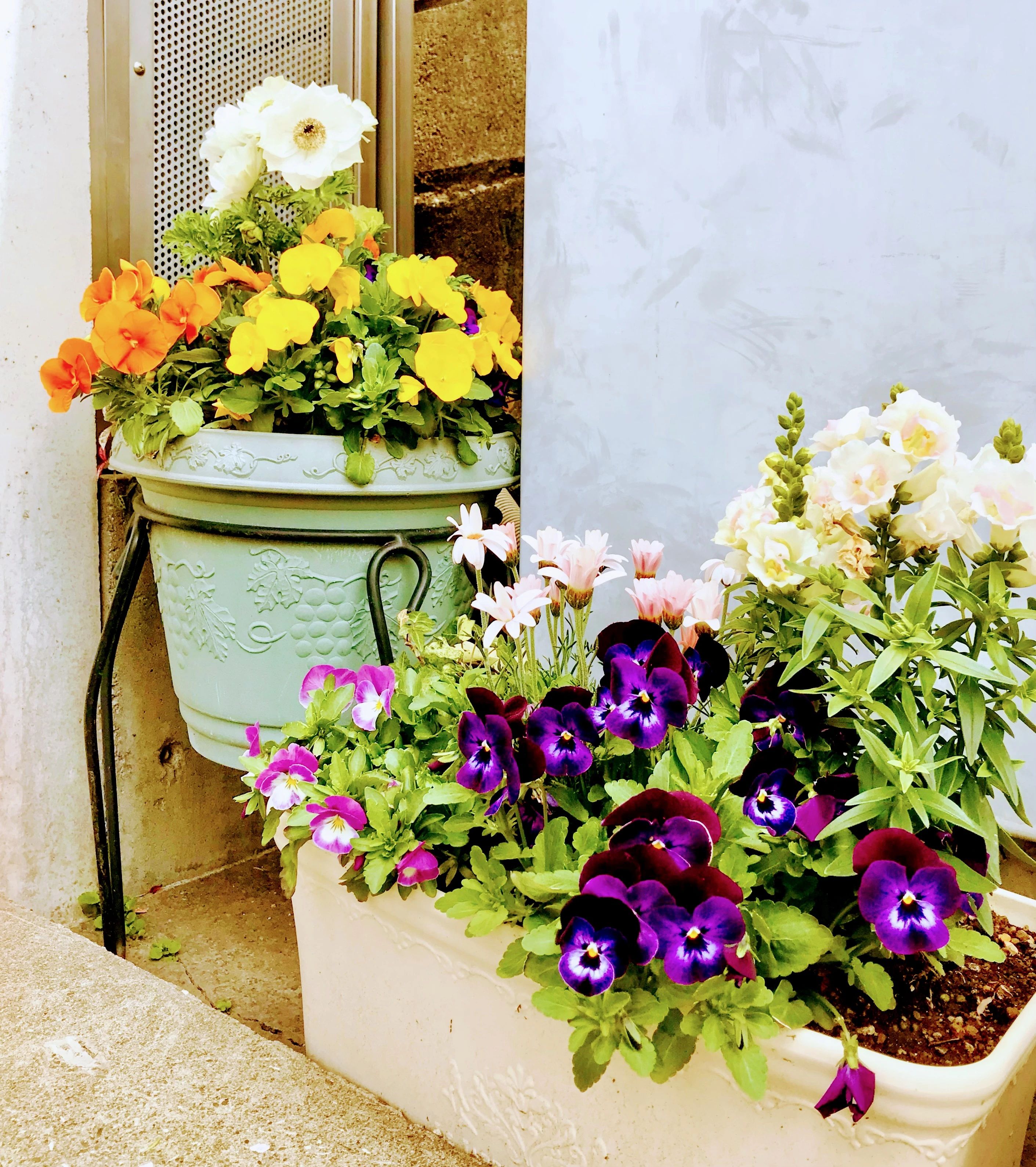 L'atelier de MIKI チェロ 西麻布教室のサムネイル画像 5