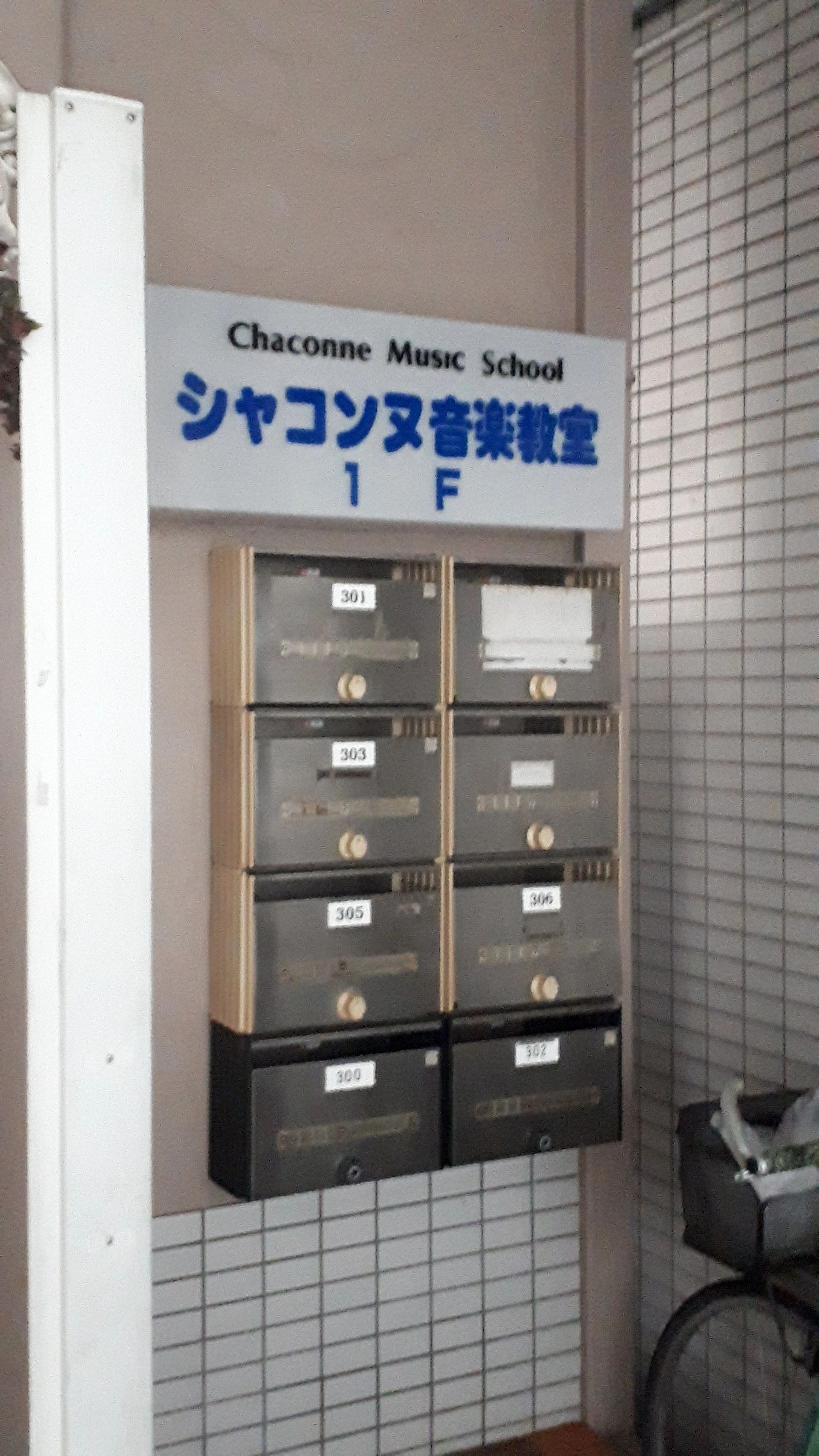 シャコンヌ音楽教室 ウクレレ 今井南町教室のメイン画像