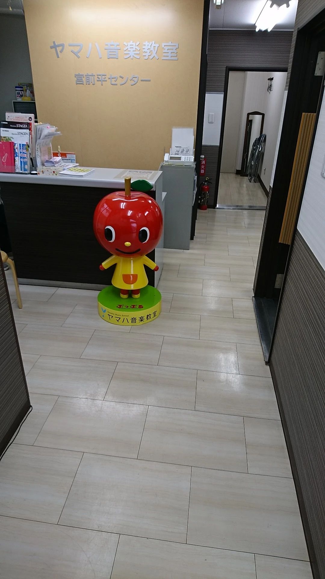 川上楽器 ビオラ 宮前平センターのメイン画像