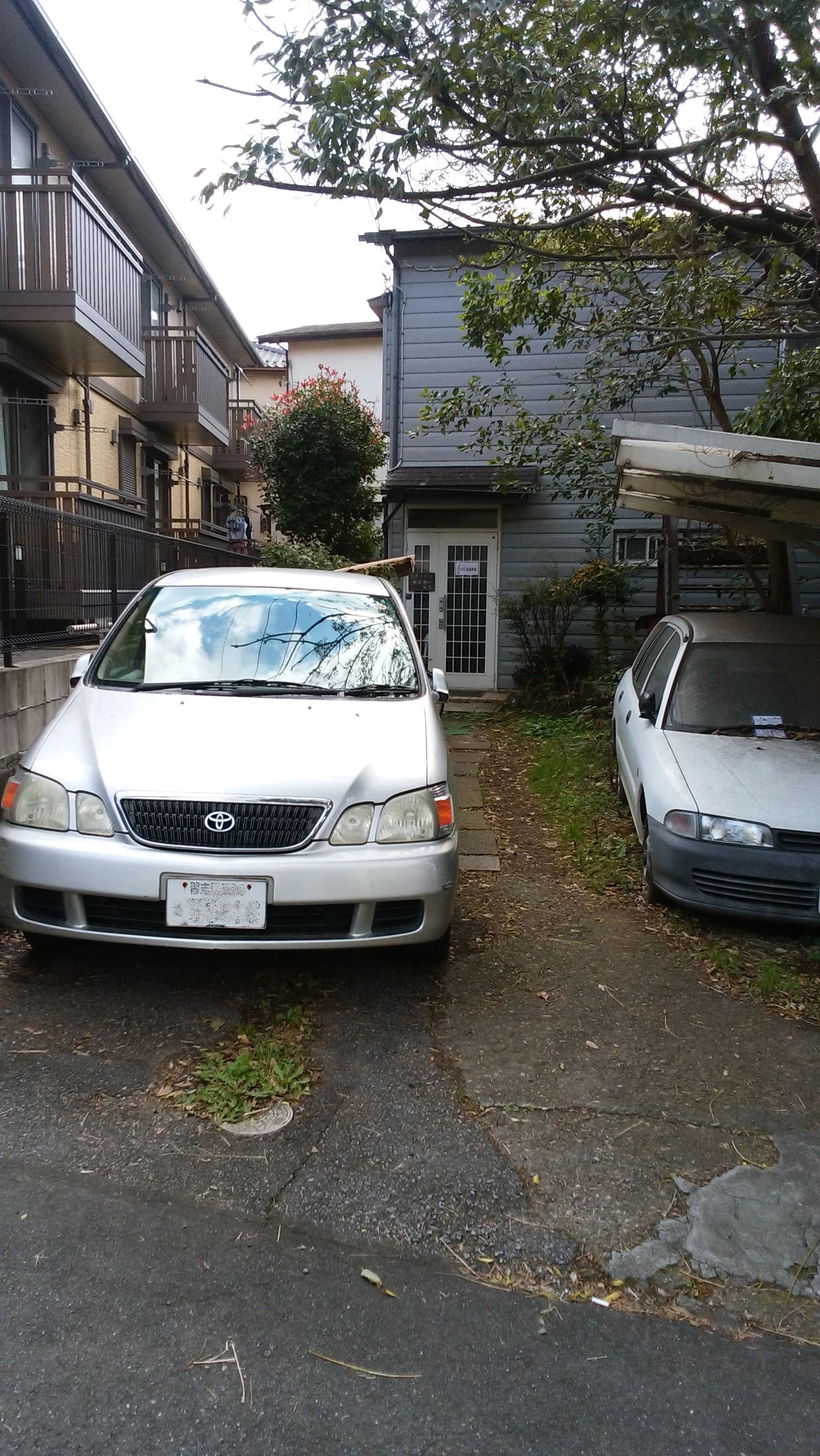 湖口音楽教室 ウクレレ 谷津教室のサムネイル画像 3