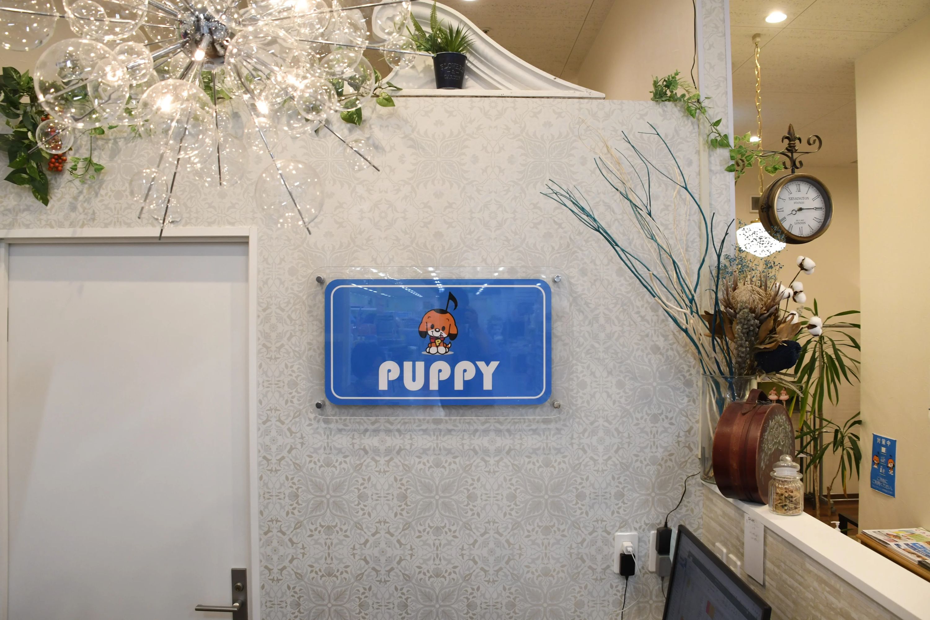 パピーミュージックスクール その他弦楽器 刈谷アピタ教室のサムネイル画像 3