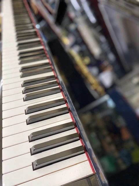 林楽器 ハープ 猿海道教室のサムネイル画像 4