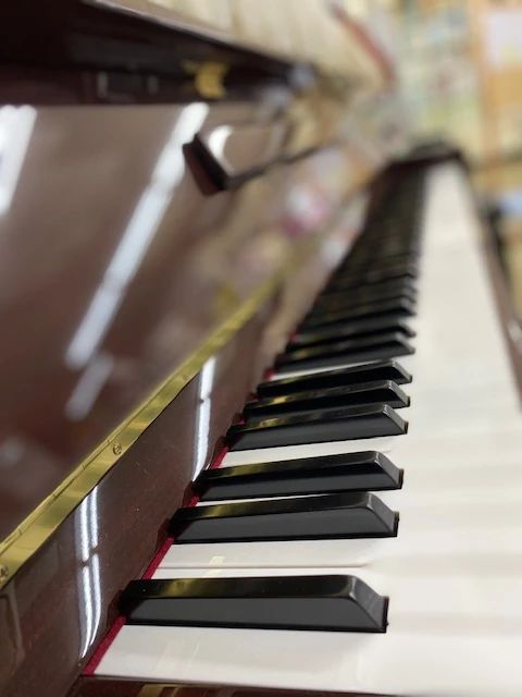 林楽器 ハープ 猿海道教室のサムネイル画像 5