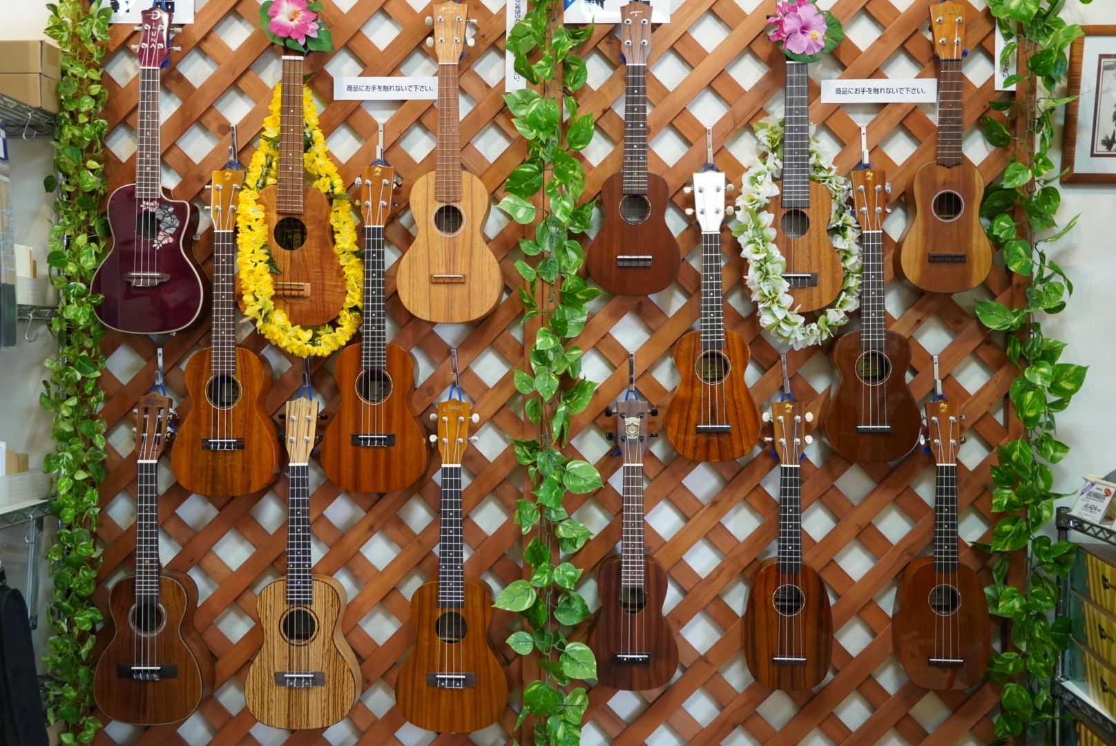 UKULELE-MART 安東教室のメイン画像