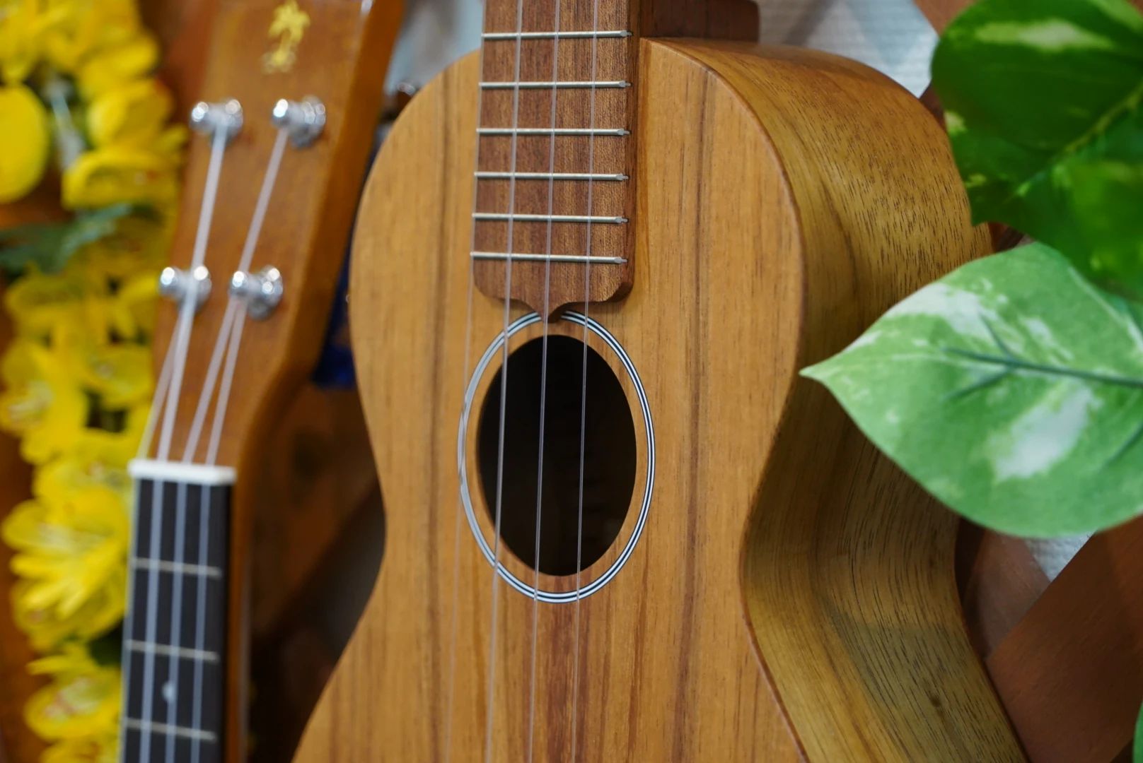 UKULELE-MART 安東教室のサムネイル画像 2