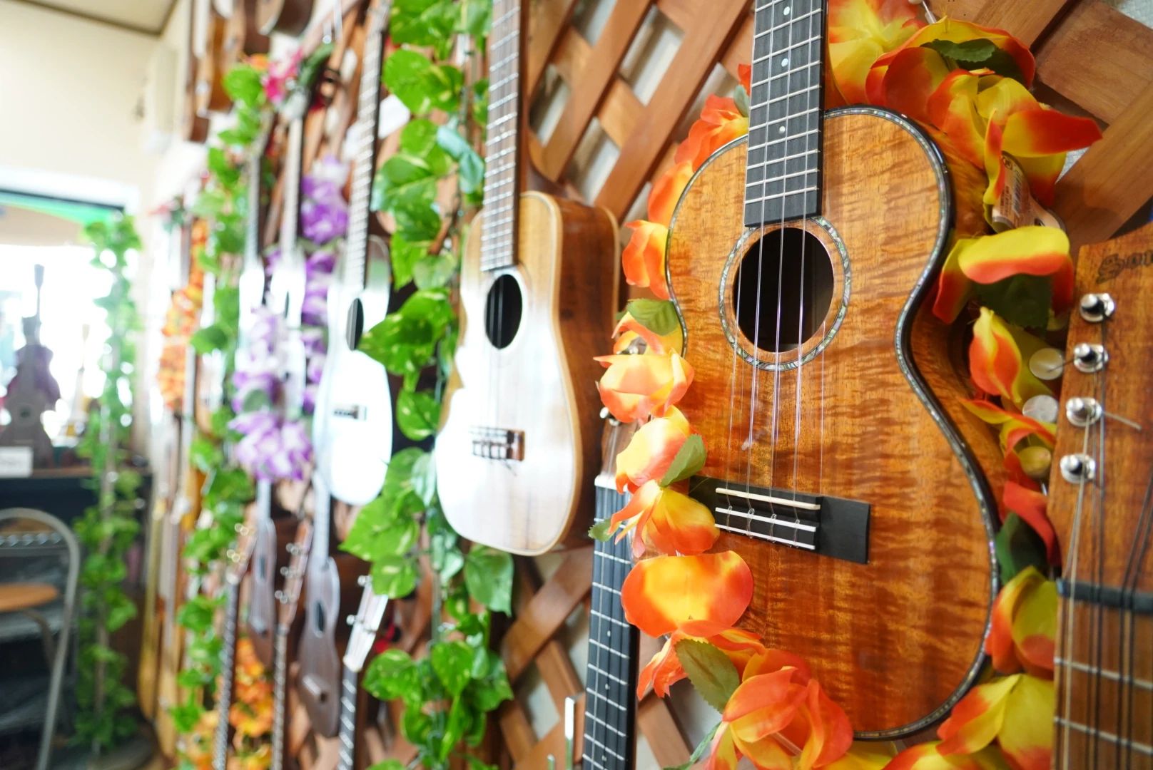 UKULELE-MART 安東教室のサムネイル画像 3