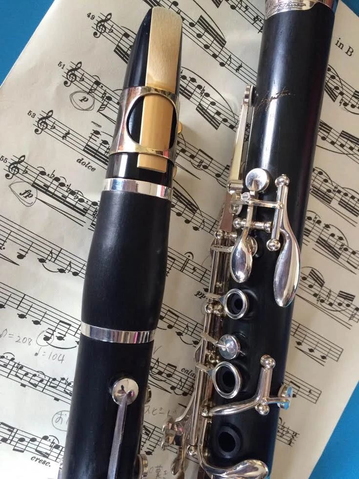 Ange Passe コントラバス 厚原教室のサムネイル画像 5