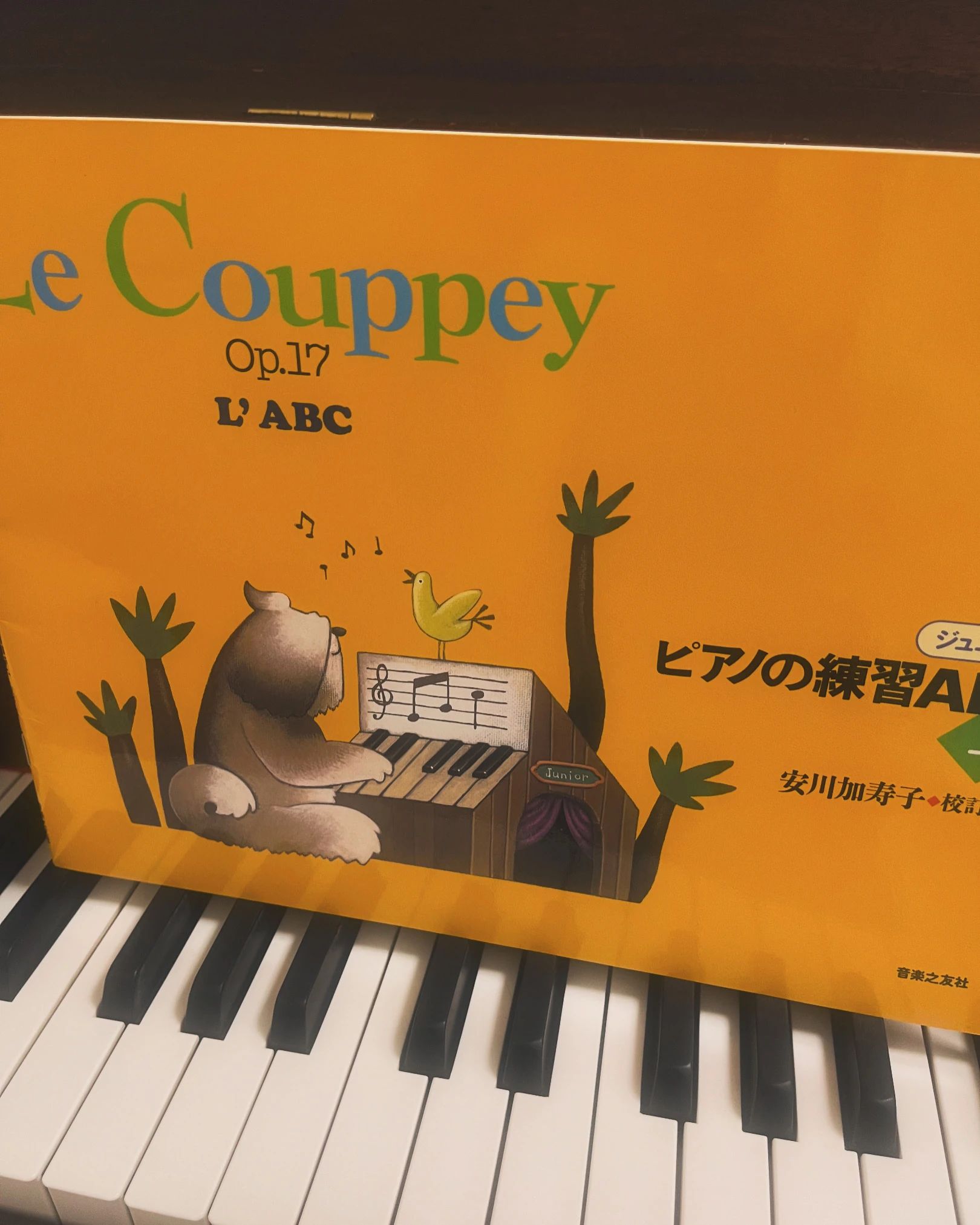 トート音楽院 チェロ 梅田のメイン画像