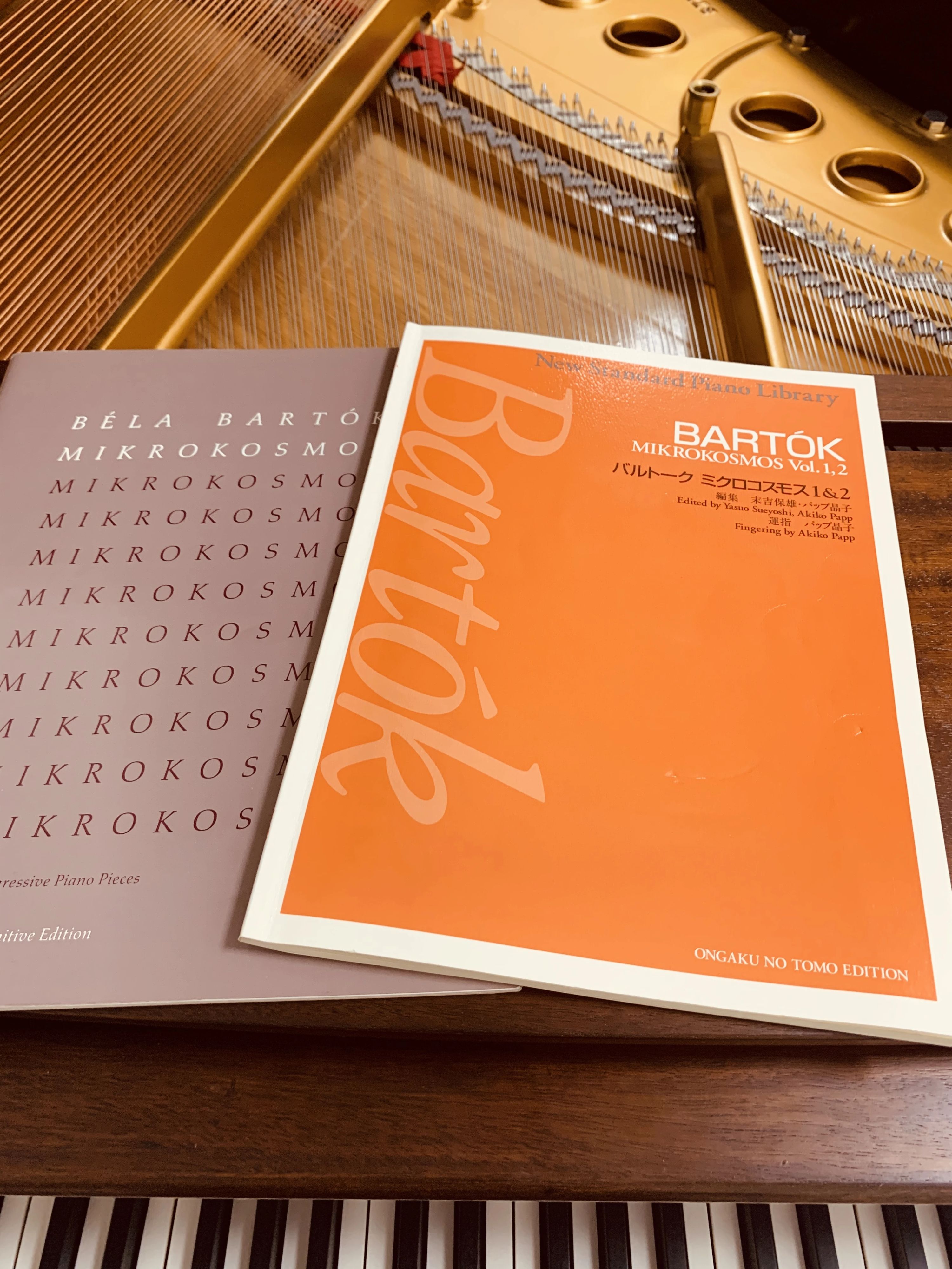 トート音楽院 チェロ 梅田のサムネイル画像 2