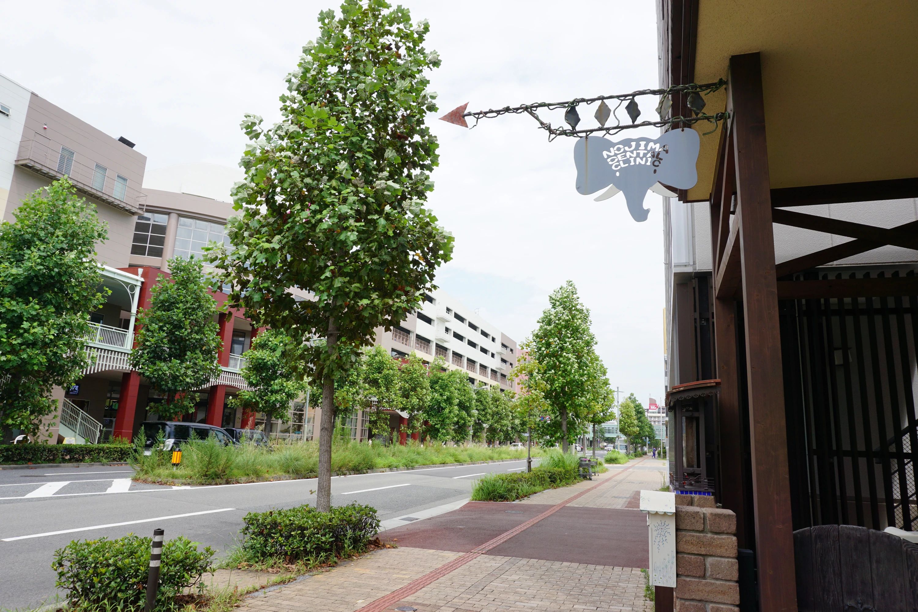 スズキ・メソード音楽教室 チェロ 明石青空堂教室のサムネイル画像 3