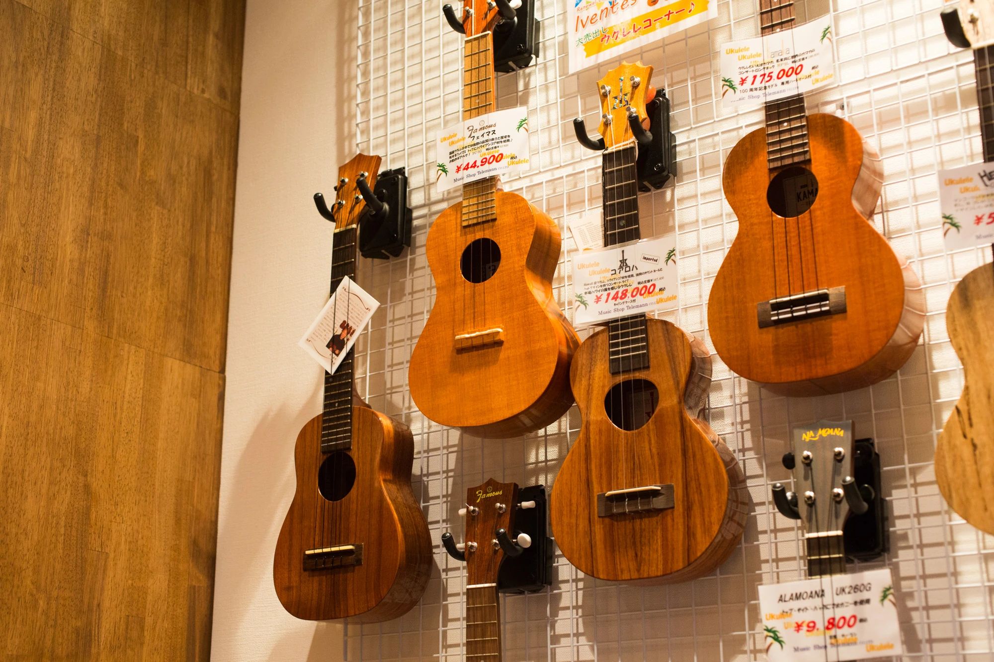 テレマン音楽教室 二胡 山崎町教室のサムネイル画像 3