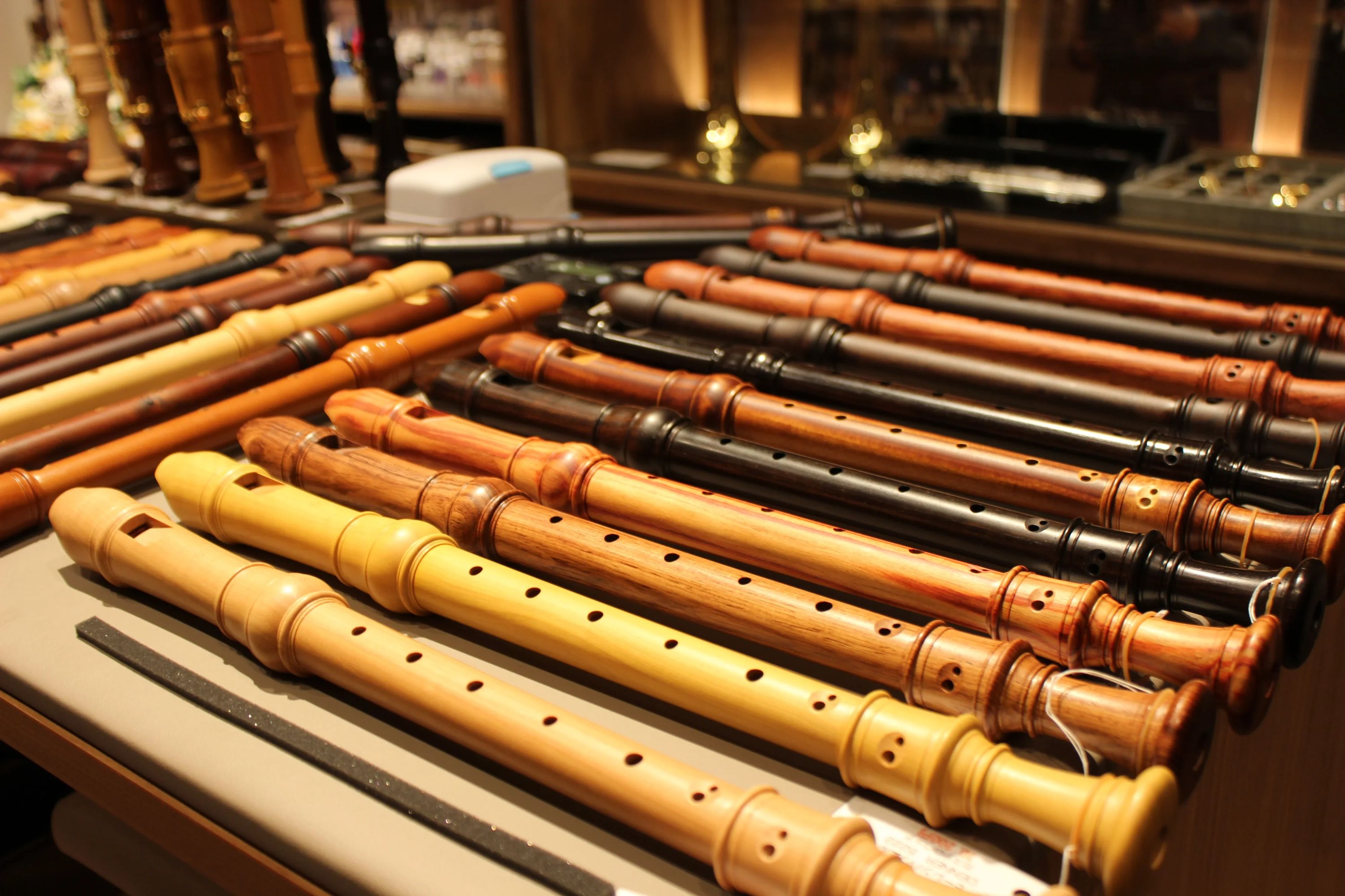 テレマン音楽教室 エレキベース 山崎町教室のメイン画像