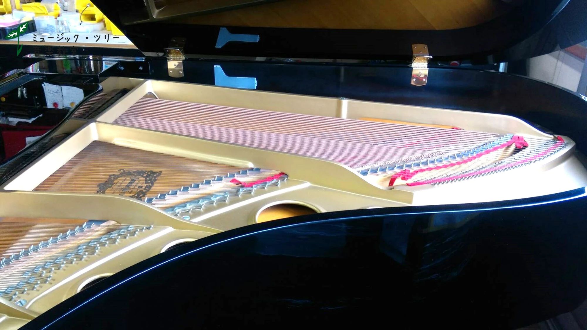 ミュージック・ツリー 音楽教室 チェロ 耳成教室のサムネイル画像 2