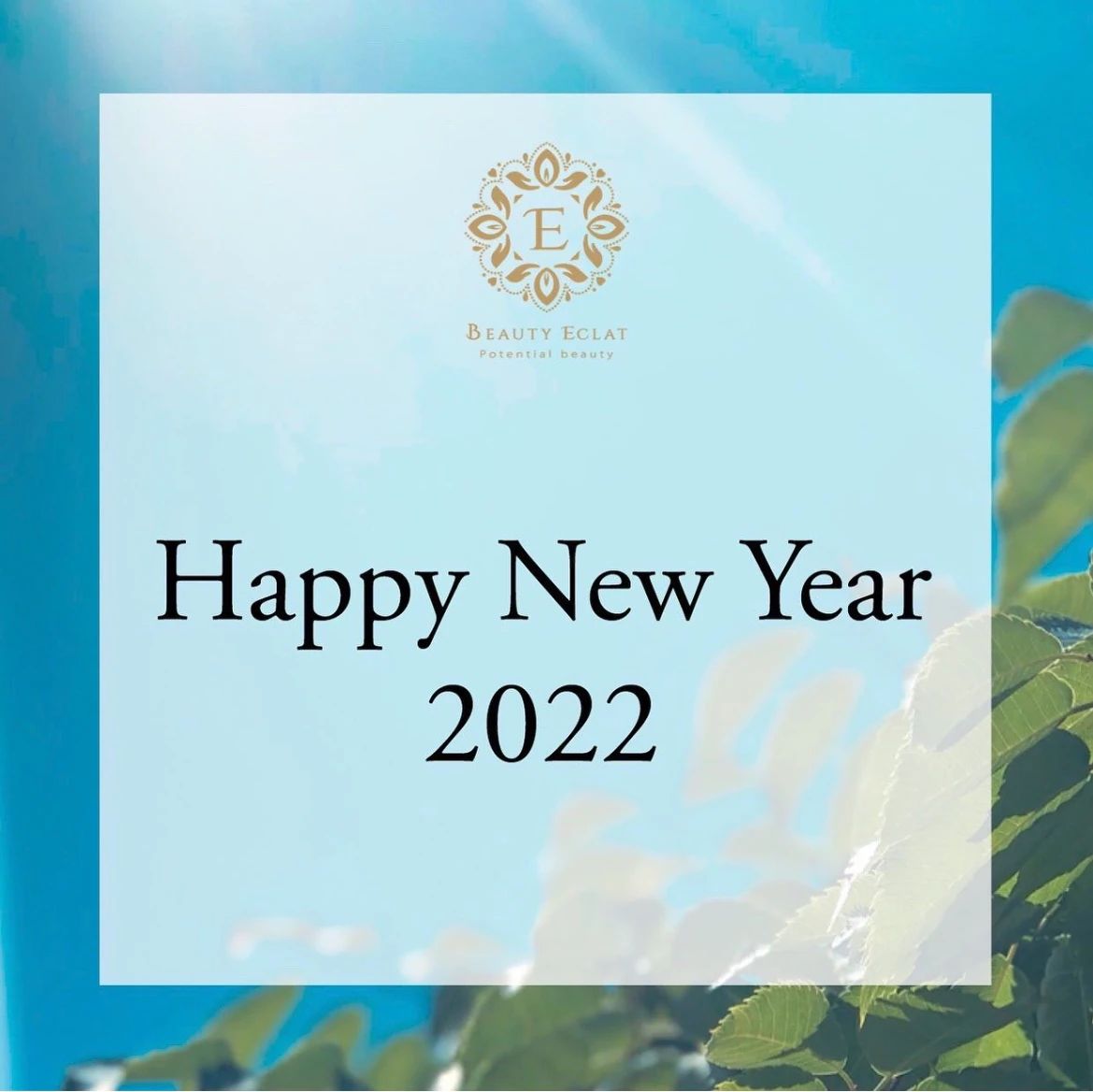 SoulArrow チェロ 奈良登美ヶ丘(自宅)のサムネイル画像 2