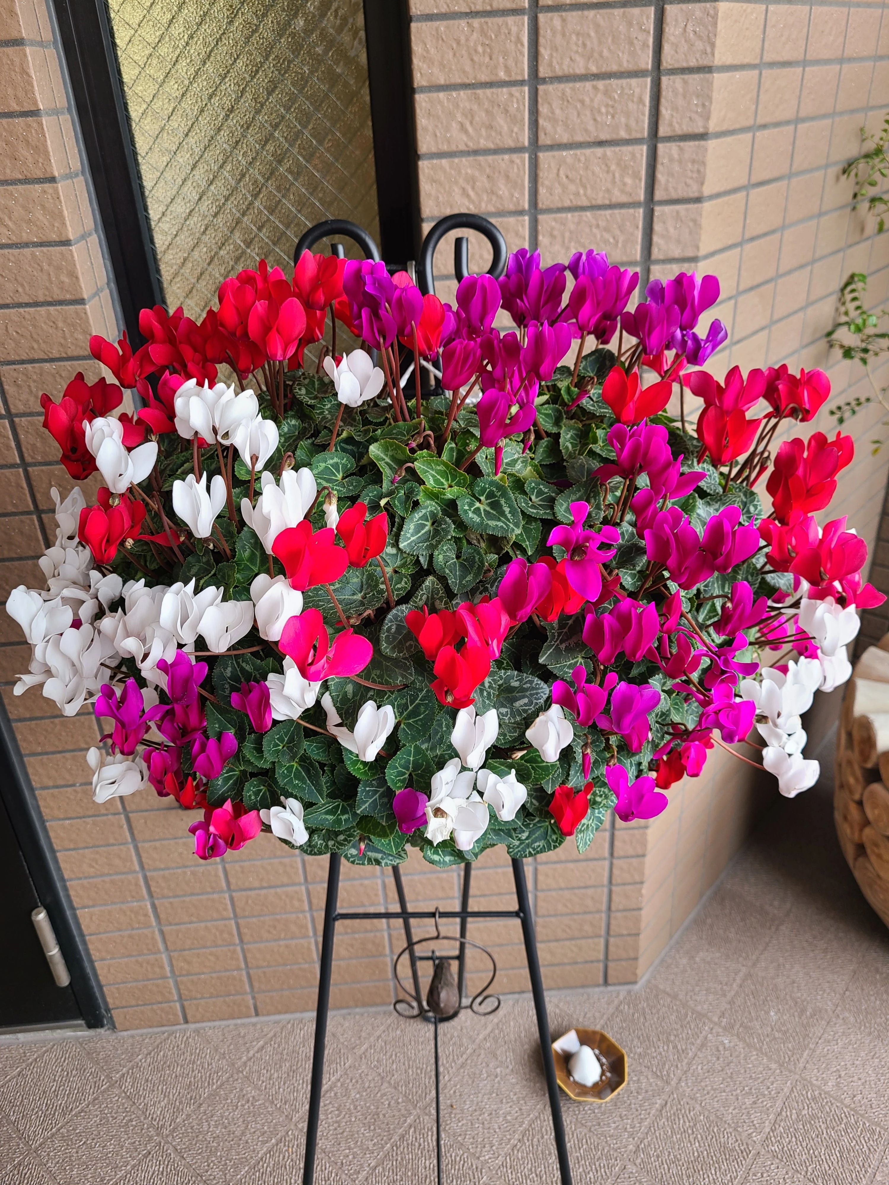 見上ハープアカデミー ハープ 比恵町教室のメイン画像