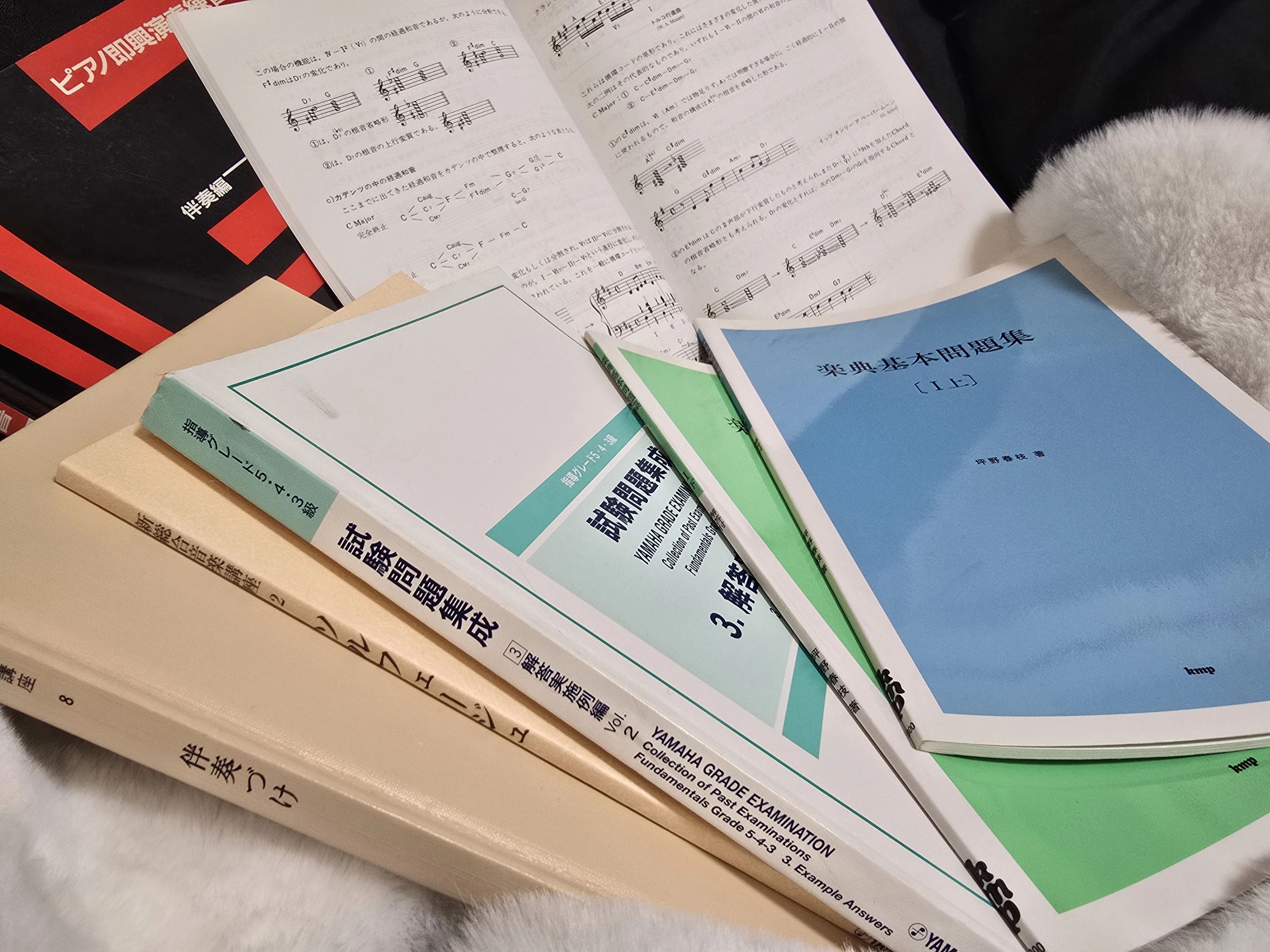 田中映子音楽教室 電子オルガン 西片教室のサムネイル画像 5