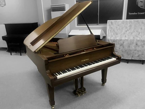 真和楽器 電子オルガン 犬山センターのサムネイル画像 3