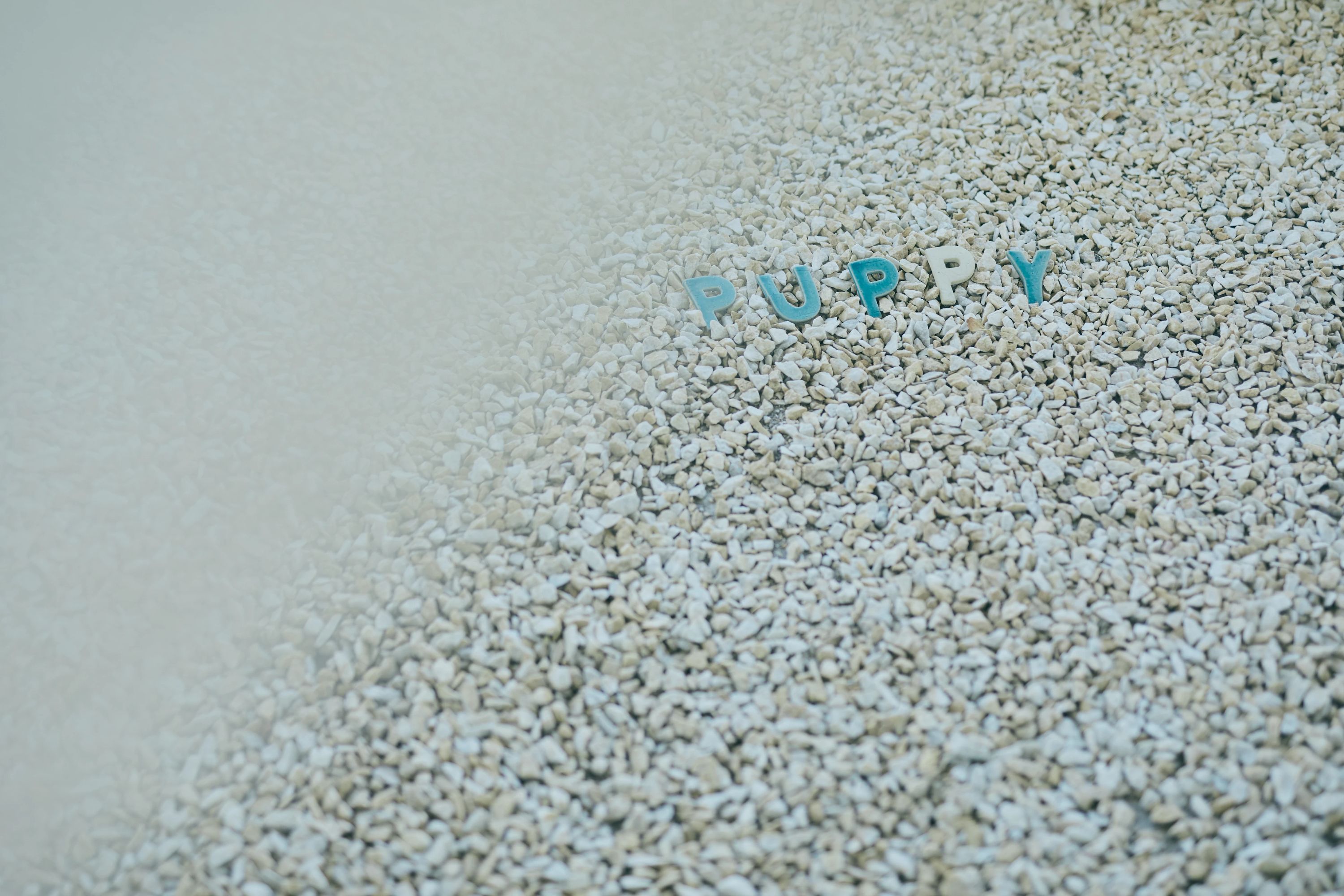 パピーミュージックスクール キーボード 名古屋名東教室のサムネイル画像 3