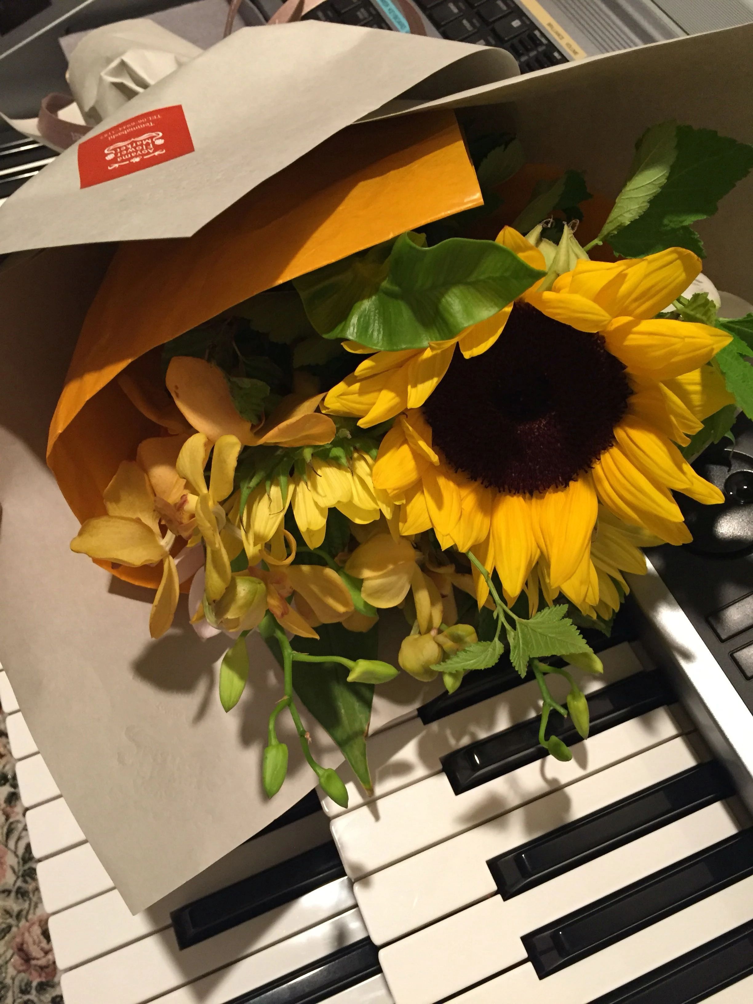 めろでぃあ音楽教室 電子オルガン 秦町教室のサムネイル画像 3