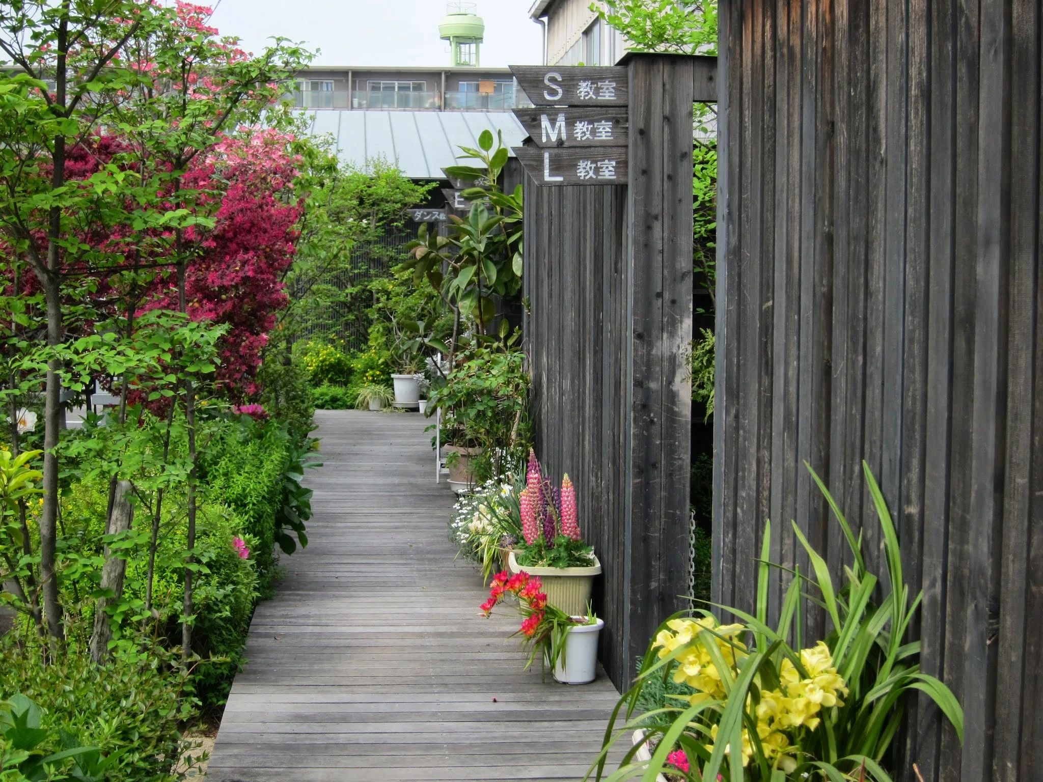 七道カルチャーセンター 電子オルガン 七道西町教室のメイン画像