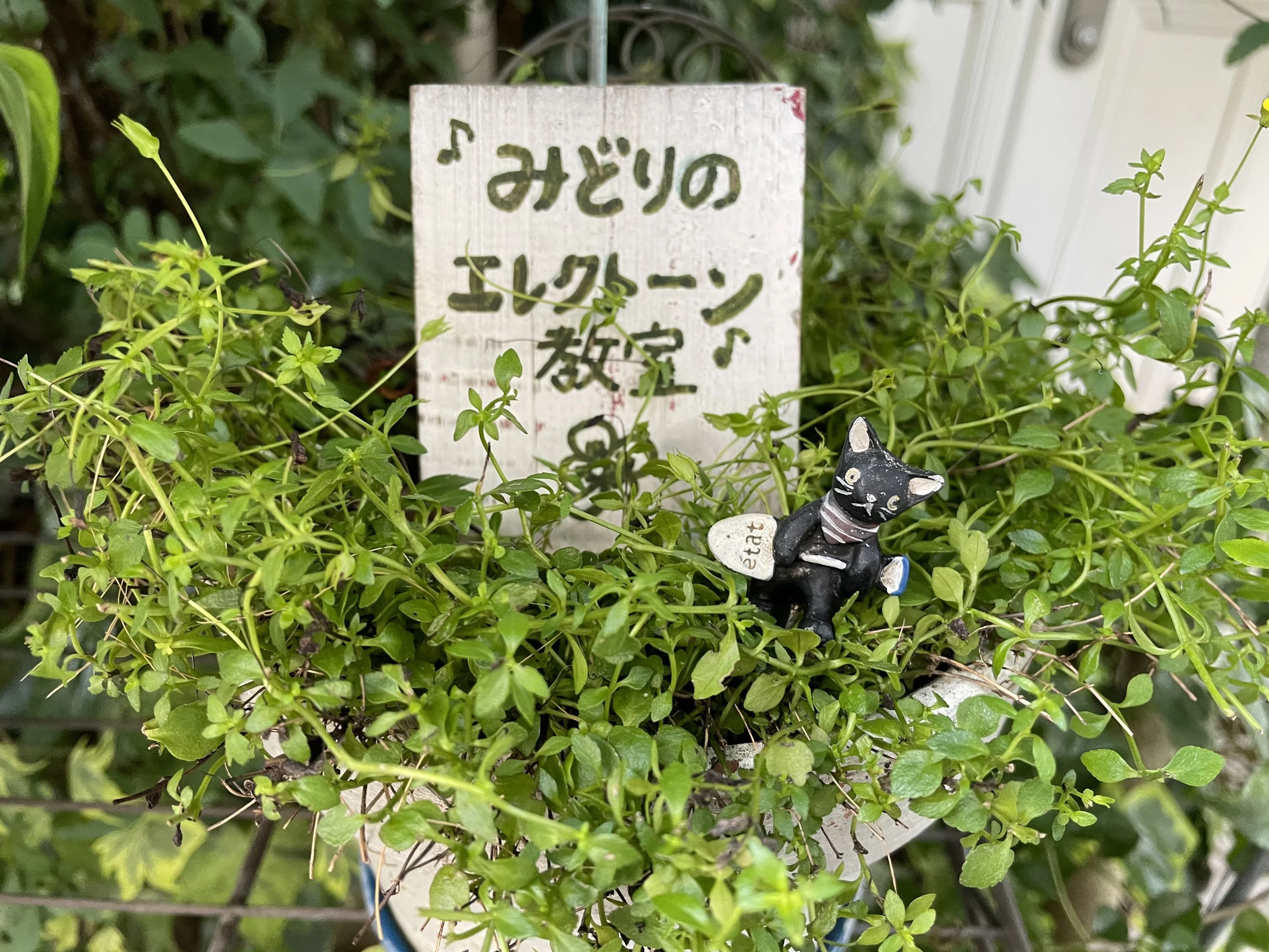 みどりのエレクトーン教室 深野教室のサムネイル画像 4