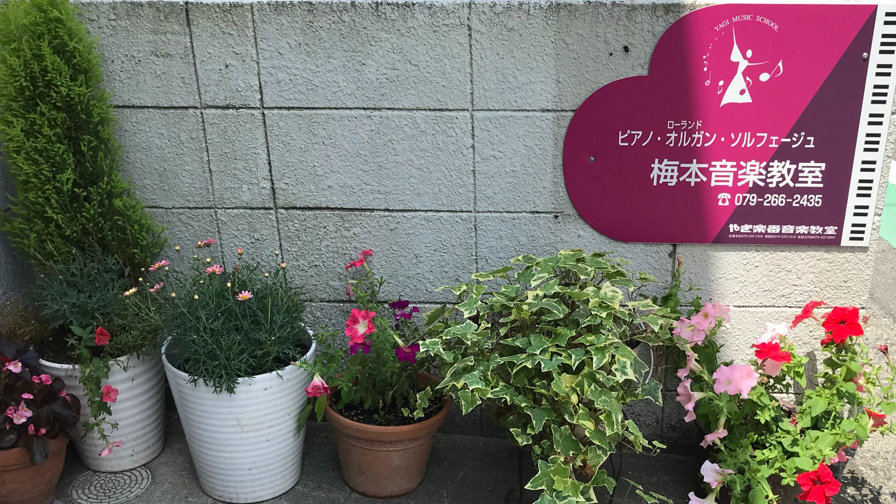 梅本音楽教室 電子オルガン 姫路市書写教室のサムネイル画像 2