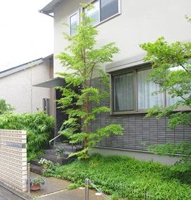 クラヴィコート･オカノ 電子オルガン 唐橋大宮尻町教室のメイン画像