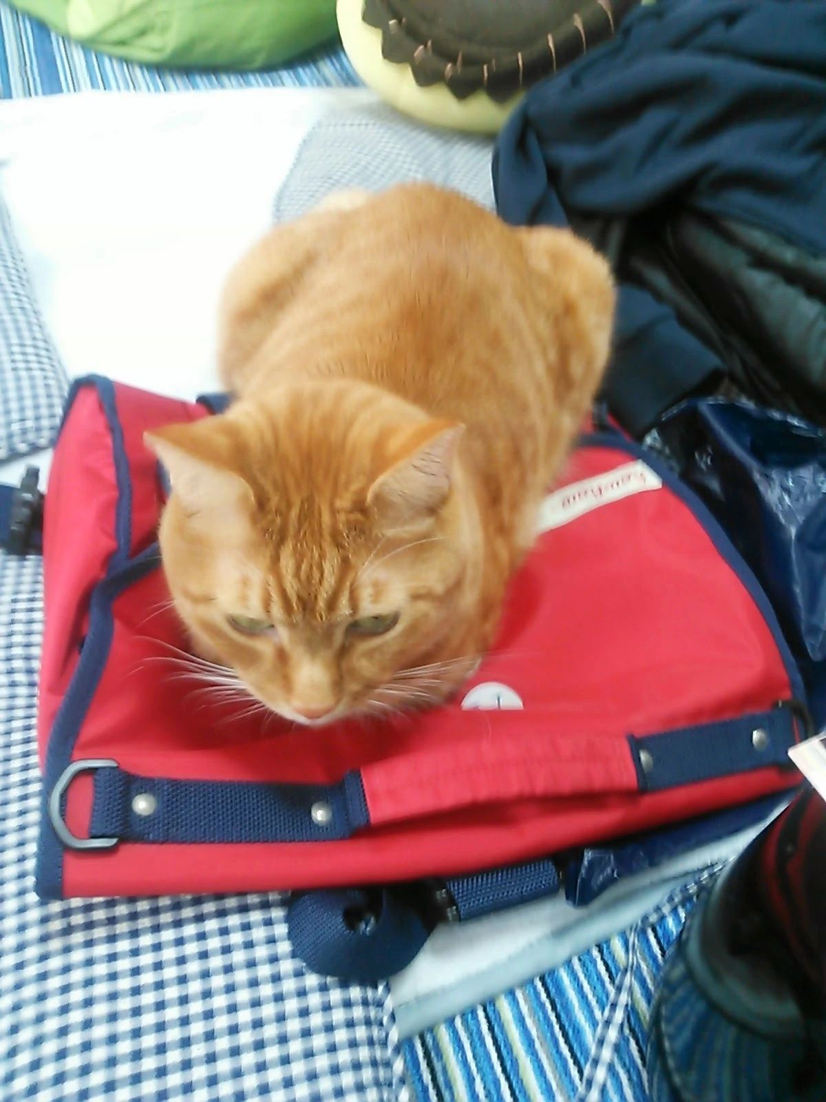 江口ピアノ･エレクトーン教室 高良内町教室のメイン画像