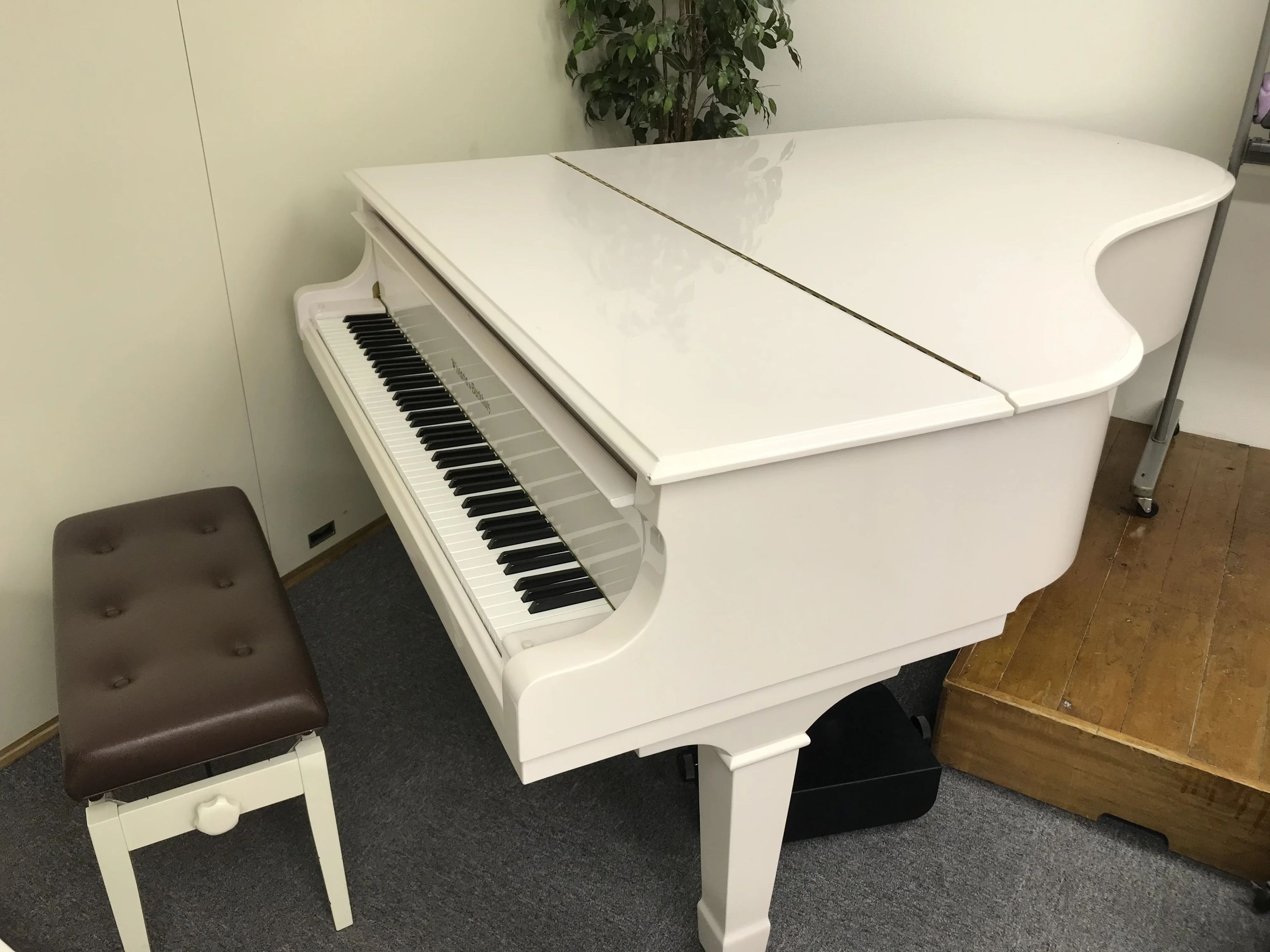 ウイスタリア音楽院 フルート 渋谷教室のメイン画像