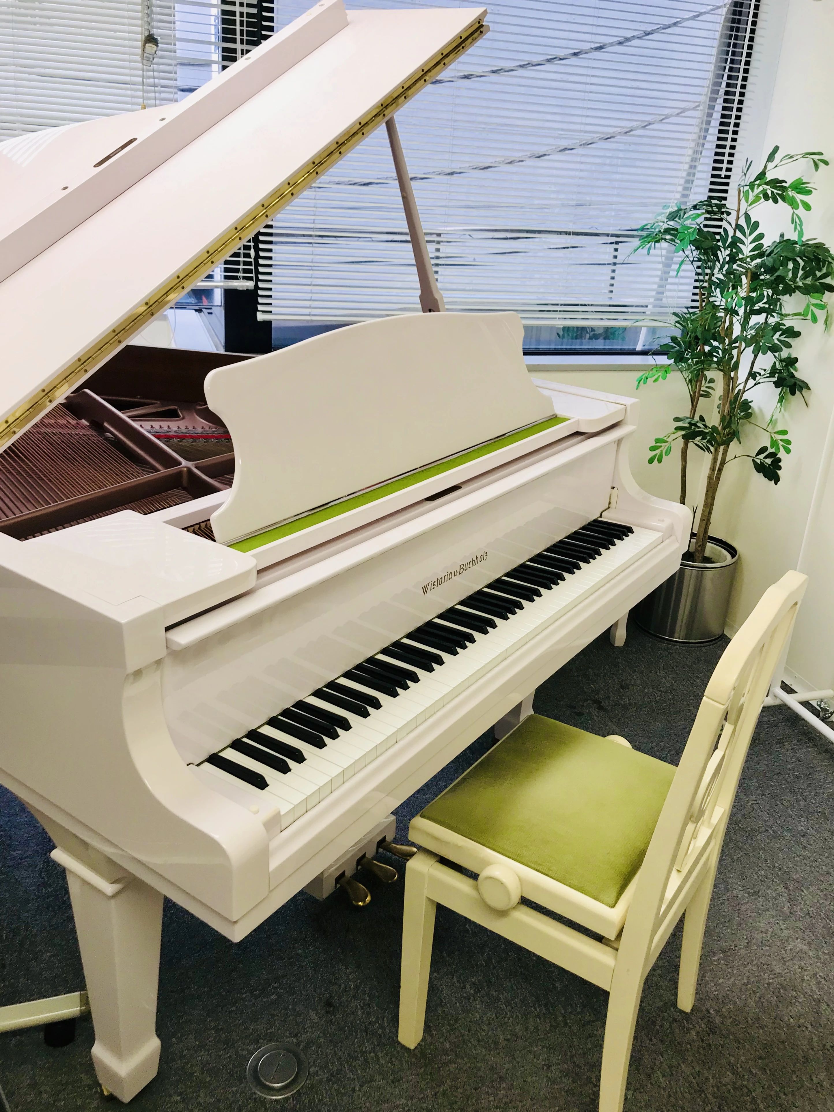 ウイスタリア音楽院 フルート 渋谷教室のサムネイル画像 2