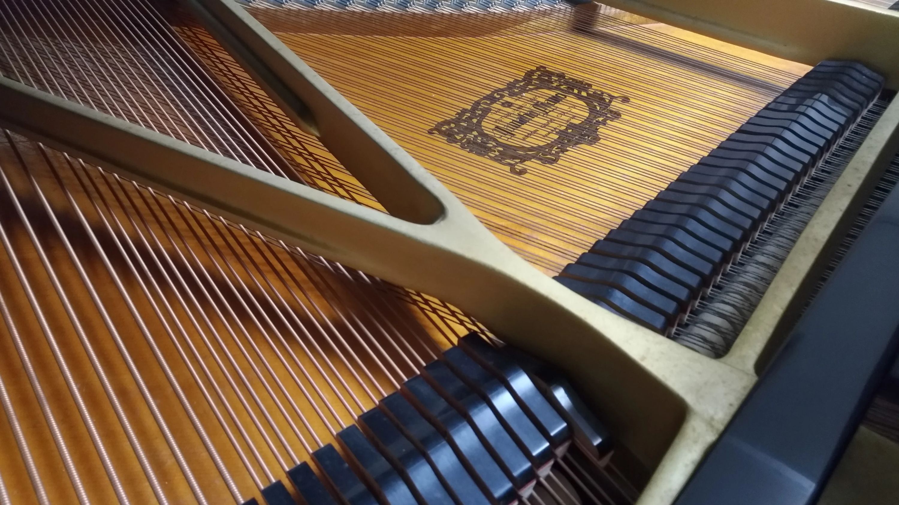 ミュージックアカデミー ラファーレ フルート 北大塚教室のサムネイル画像 3