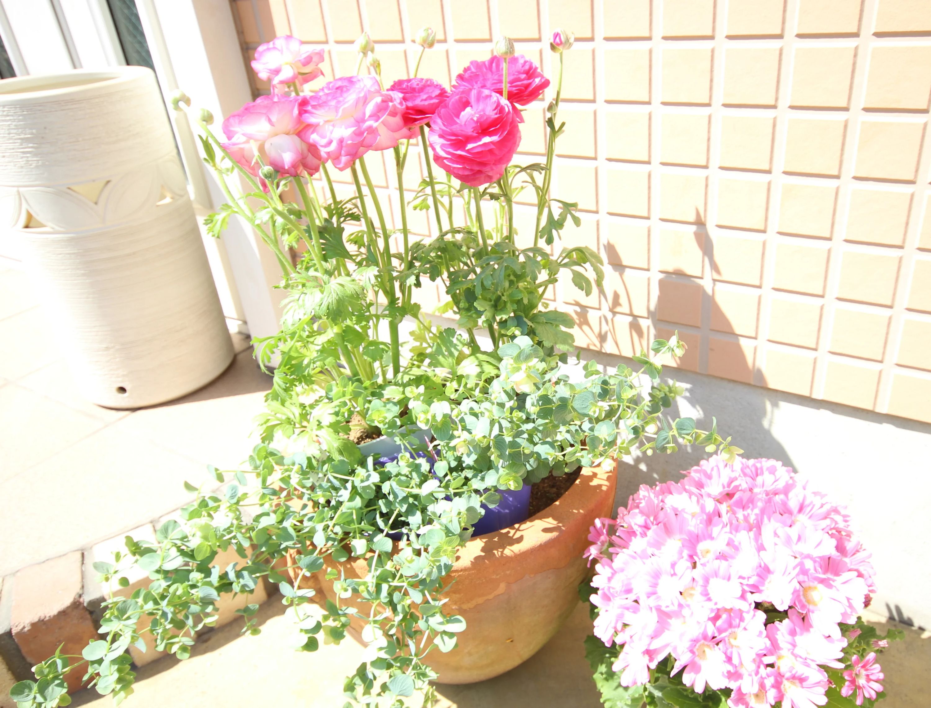 鎌倉アミ フルート 由比ガ浜教室のサムネイル画像 2