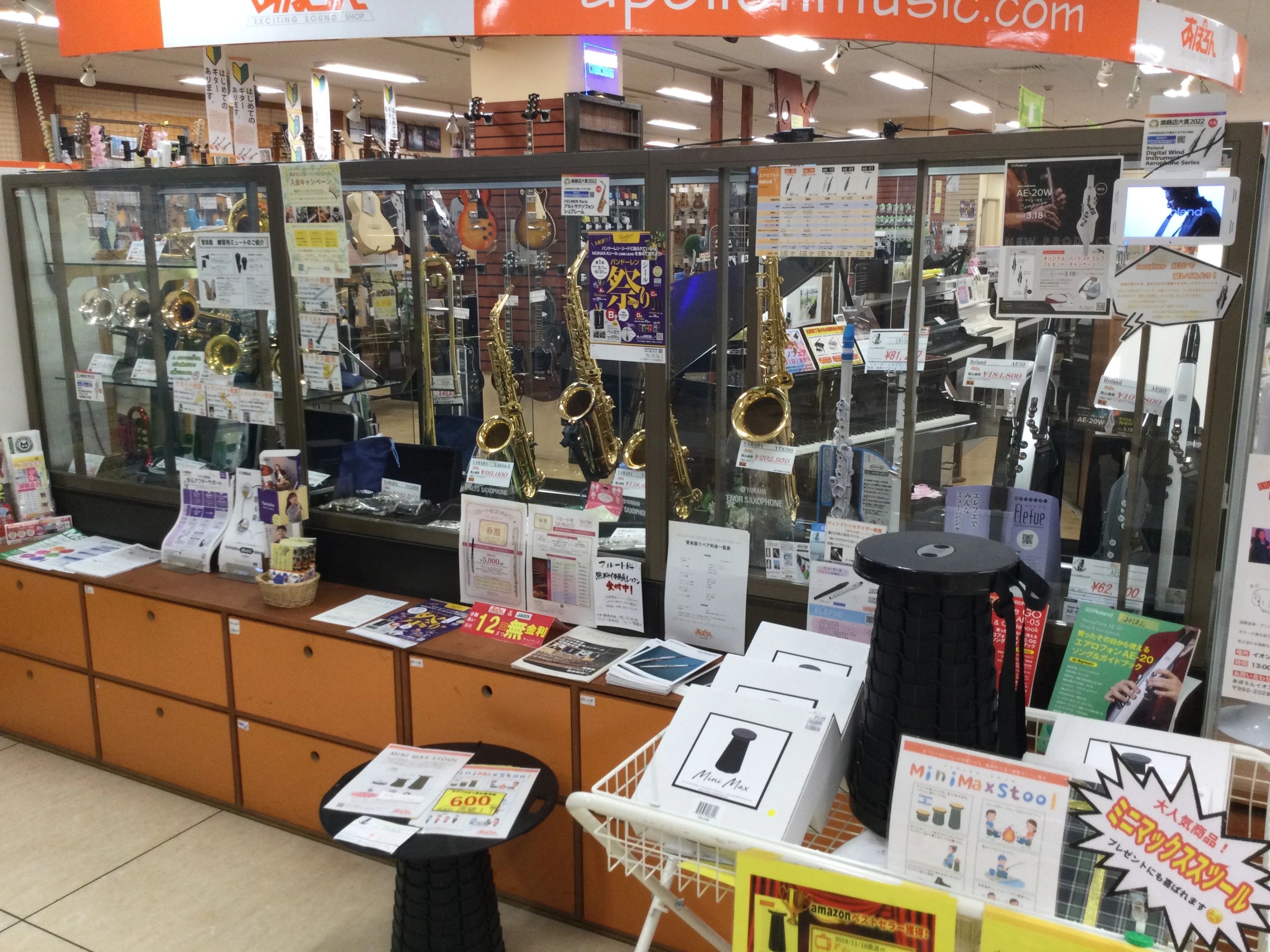 あぽろんミュージックスクール フルート イオン新潟西店のサムネイル画像 5