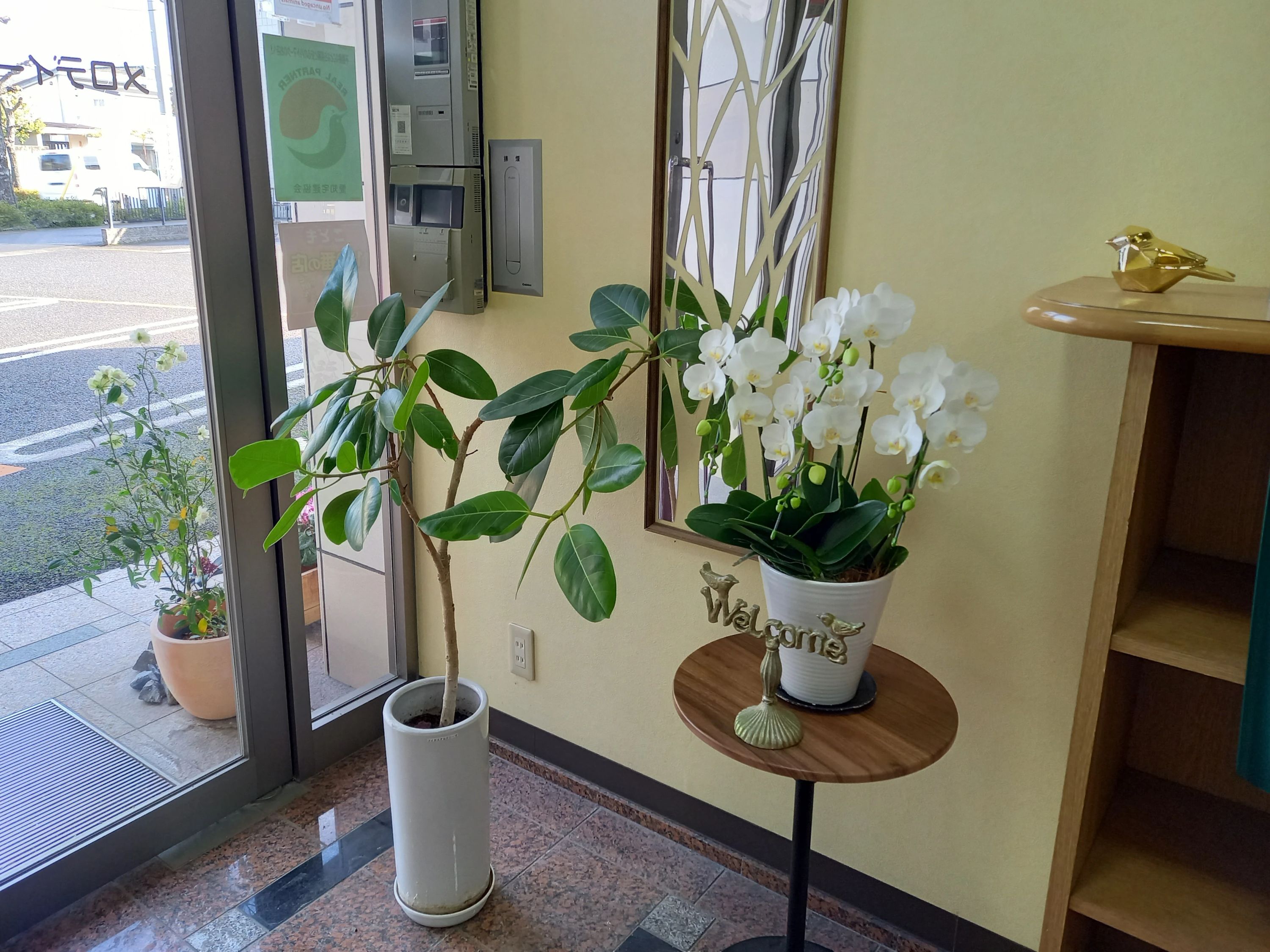 ハセガワ楽器 フルート 一宮センター教室のサムネイル画像 3