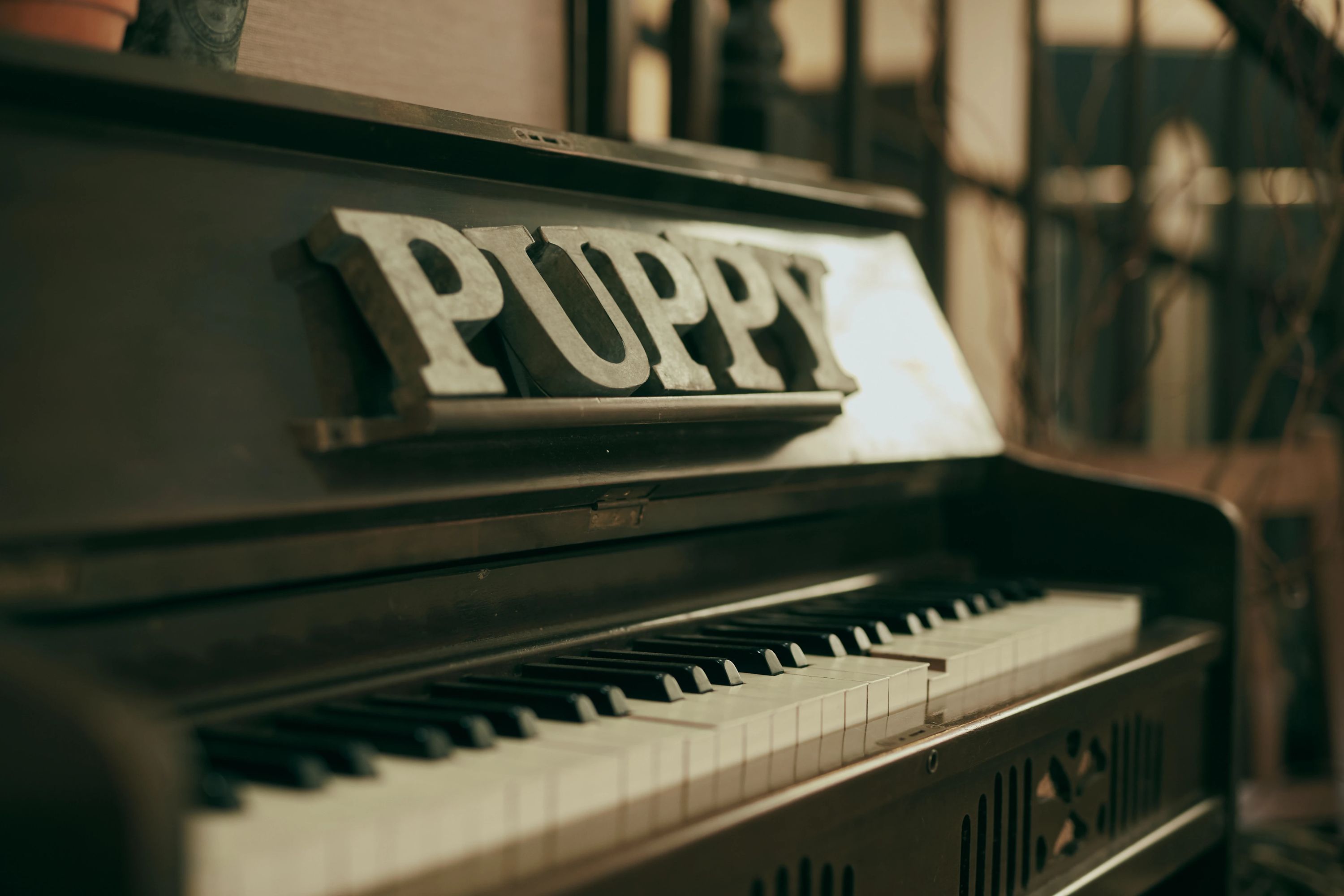 パピーミュージックスクール フルート 岡崎矢作教室のサムネイル画像 2