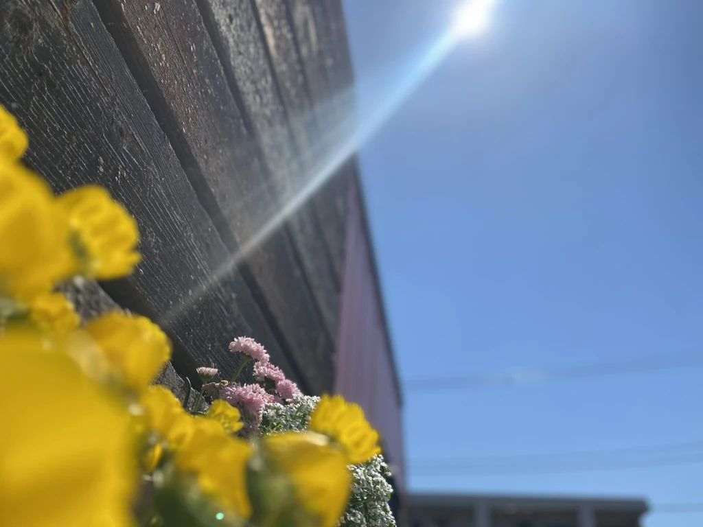 MUSIC LA FESTA フルート 鳥谷教室のメイン画像