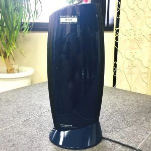 音楽教室DreamStep(ドリーム・ステップ) フルート ヤマサキギター音楽院のサムネイル画像 5