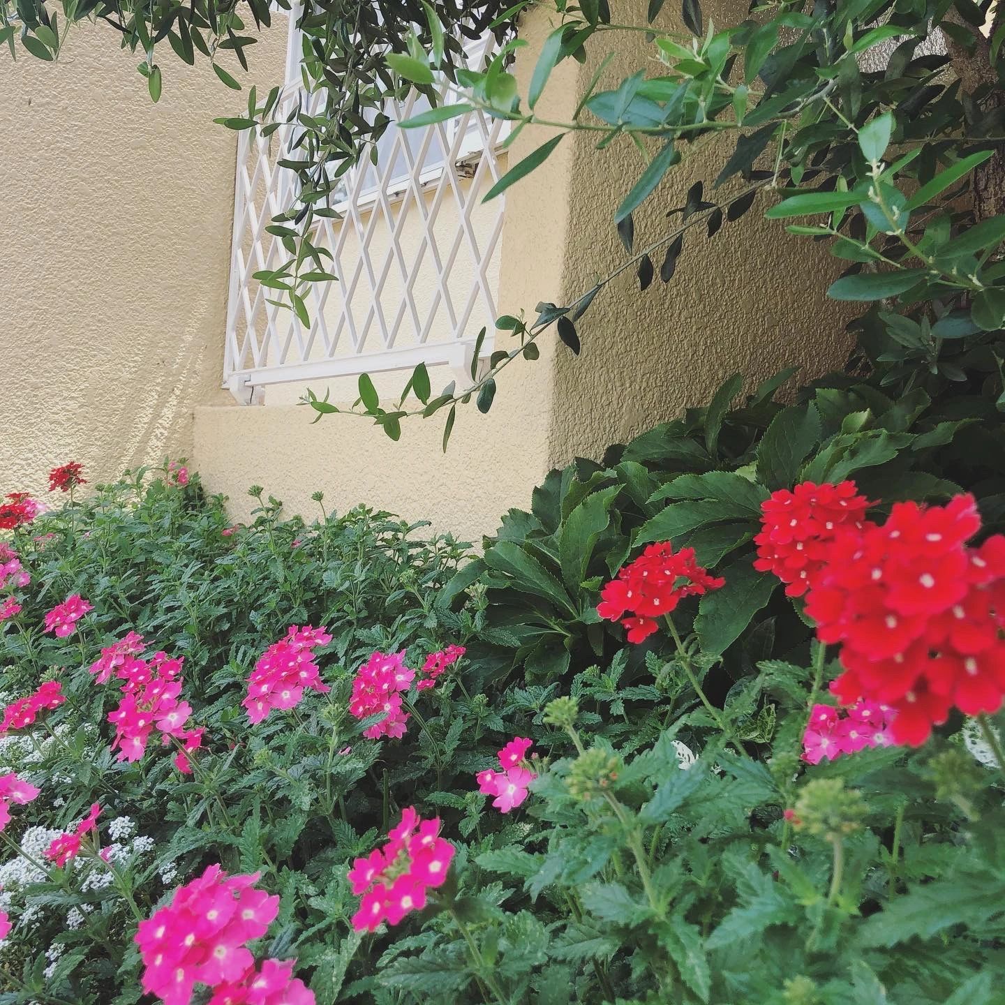 マーブル音楽教室 フルート 平岡教室のサムネイル画像 2