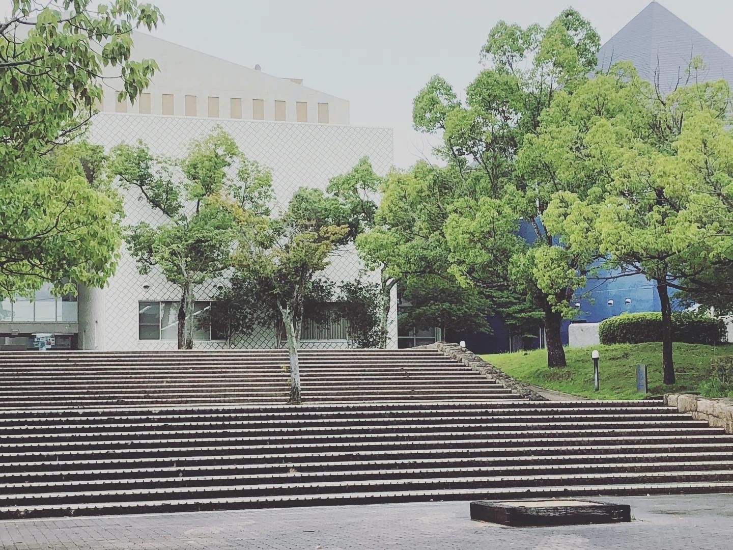 マーブル音楽教室 フルート 平岡教室のサムネイル画像 5