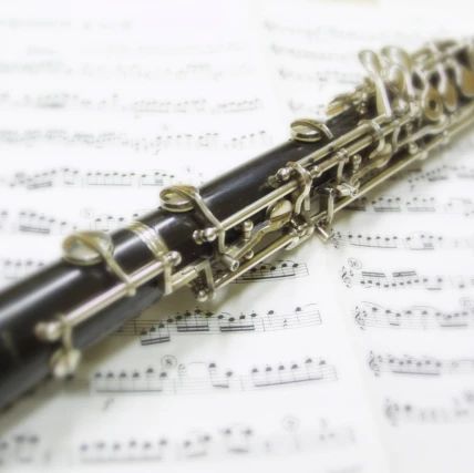 くるみ音楽教室 フルート 高砂町教室のサムネイル画像 5