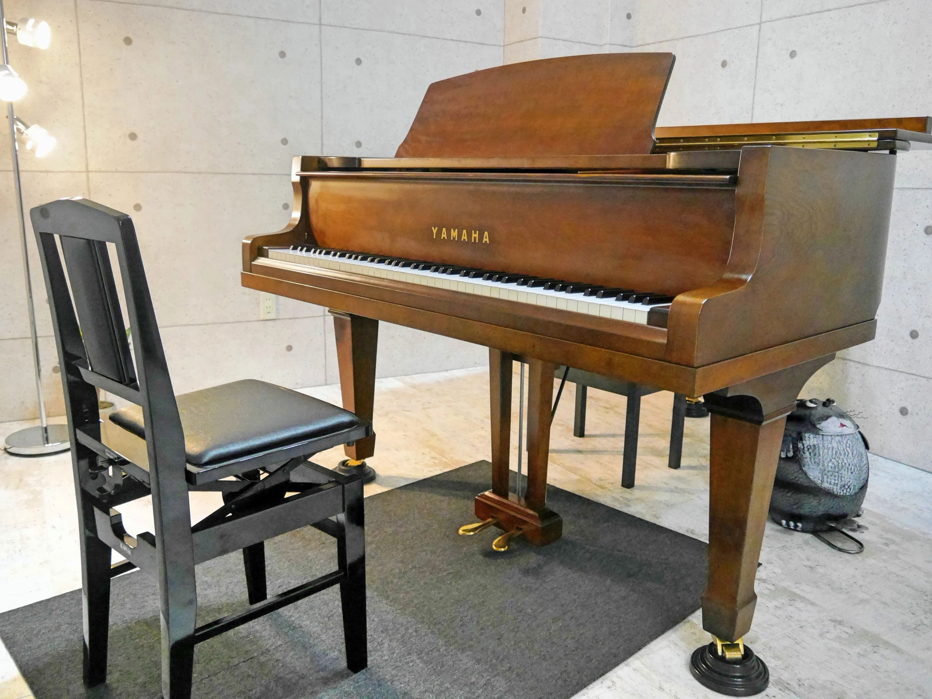 α Musica(アルファムジカ)音楽総合教室 　 フルート 中山手通教室のサムネイル画像 3