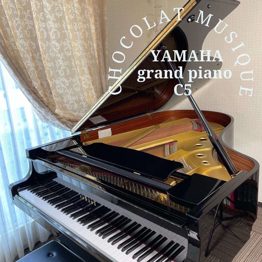 ショコラミュージック フルート 猿猴橋町教室のサムネイル画像 5