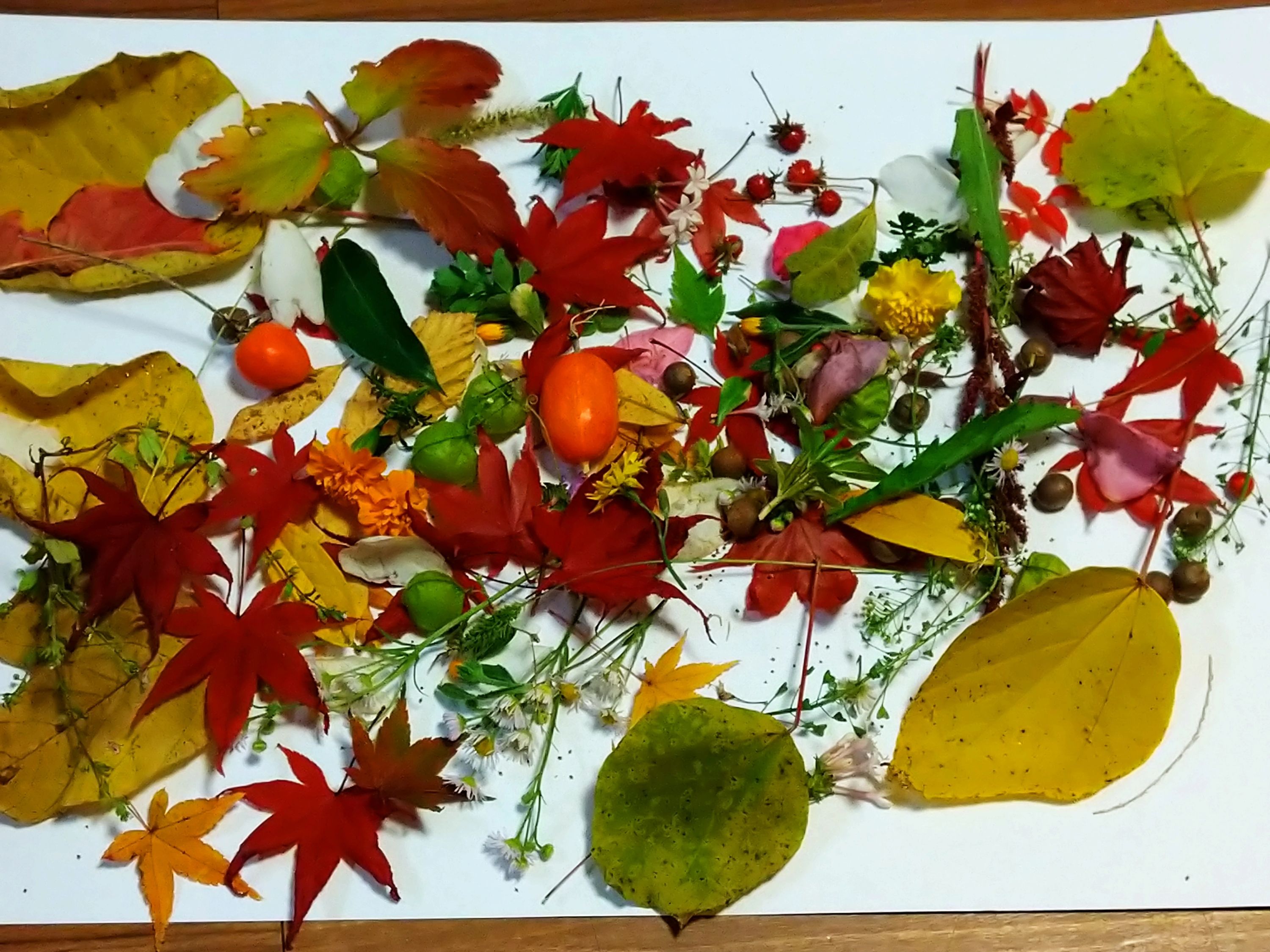 ラボ・パーティ足利市大久保町教室のサムネイル画像 3