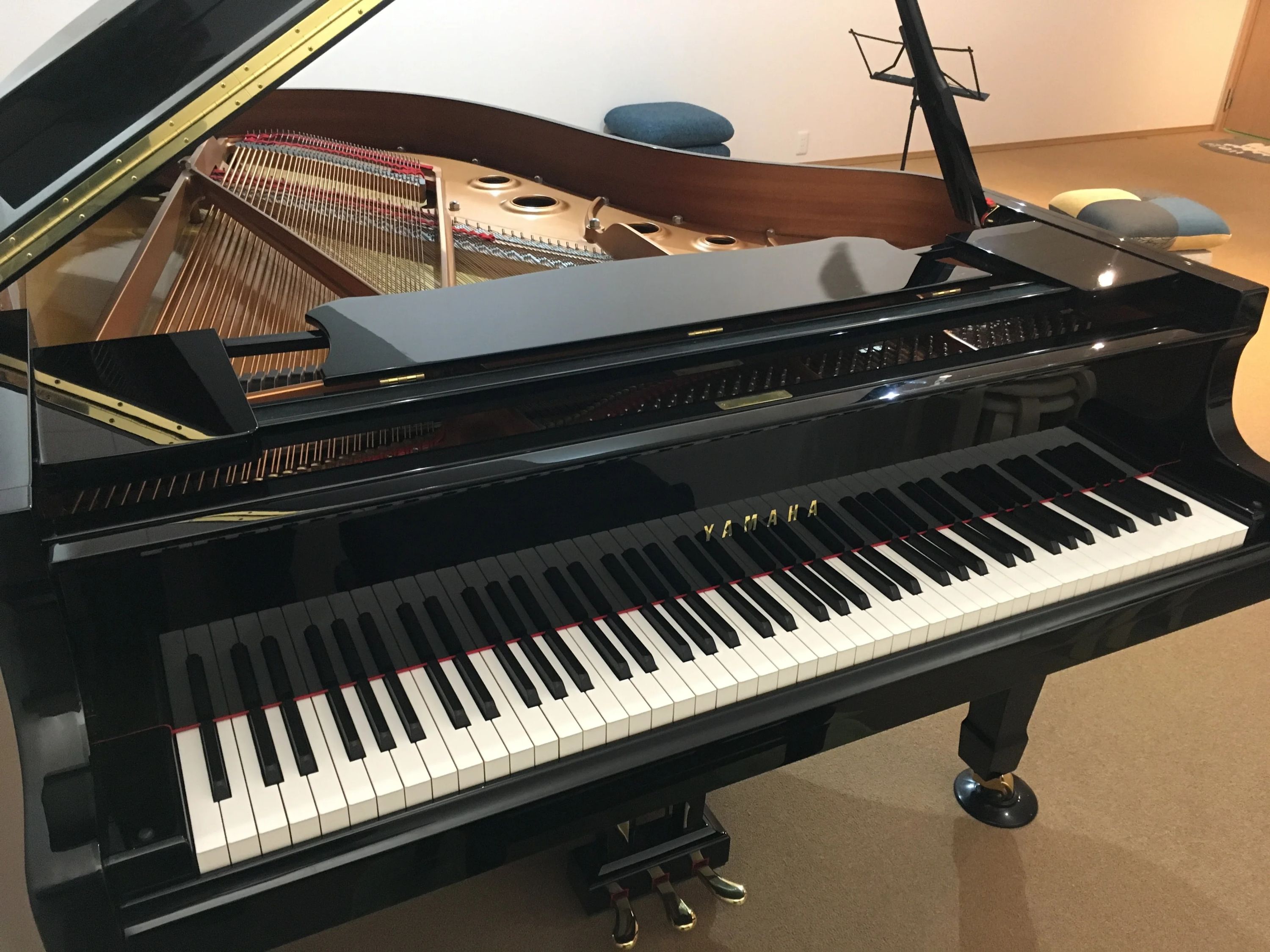 シャルテ音楽教室 サクソフォーン 那加太平町教室のサムネイル画像 3