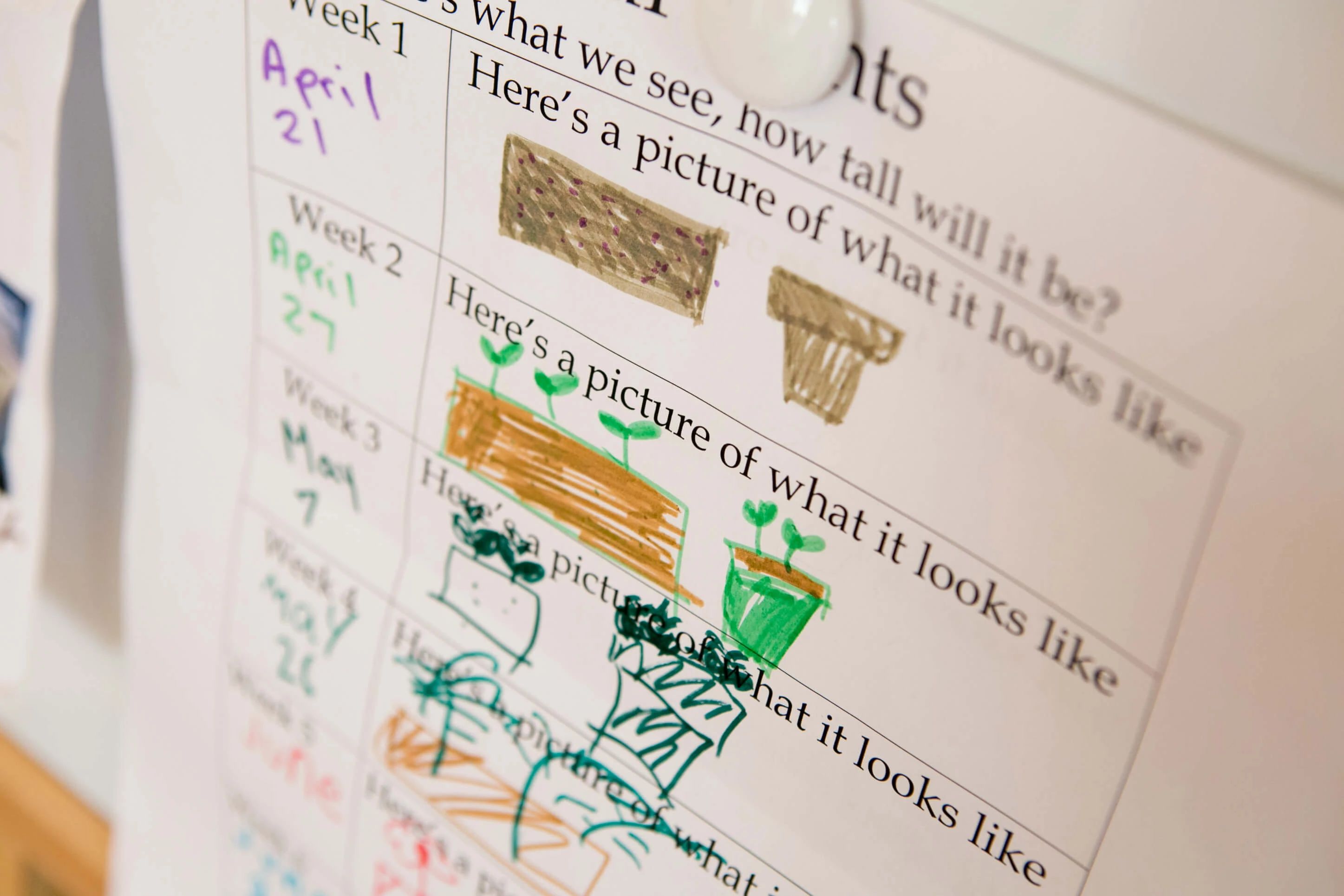 ラボ・パーティいわき市平南白土教室のメイン画像