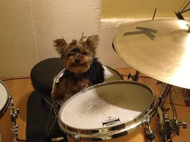 キラリ塾 ドラム 塩山熊野教室のサムネイル画像 2