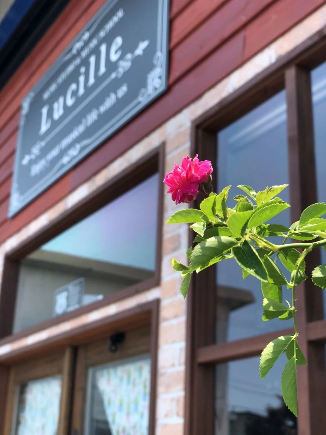 Lucille(ルシール) ドラム 白山町教室のサムネイル画像 2