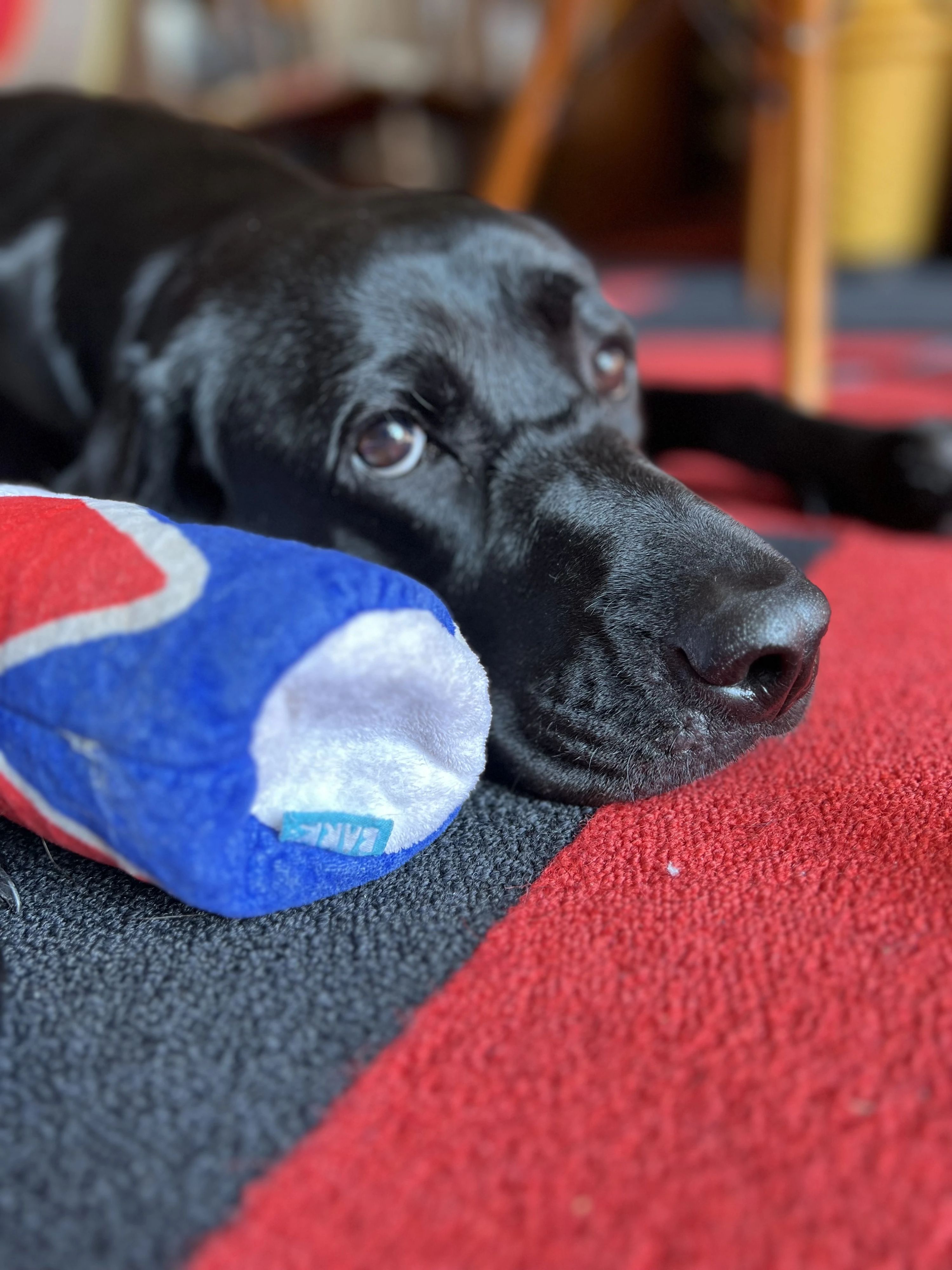 Lucille(ルシール) ドラム 白山町教室のサムネイル画像 4