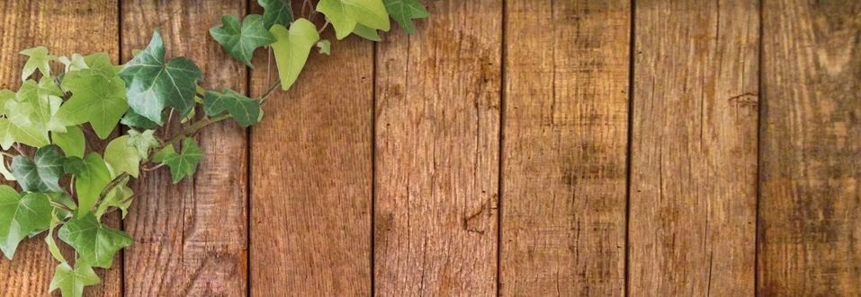 FUN MUSIC ROOMS(ファンミュージックルームス) ドラム 花立教室のサムネイル画像 2